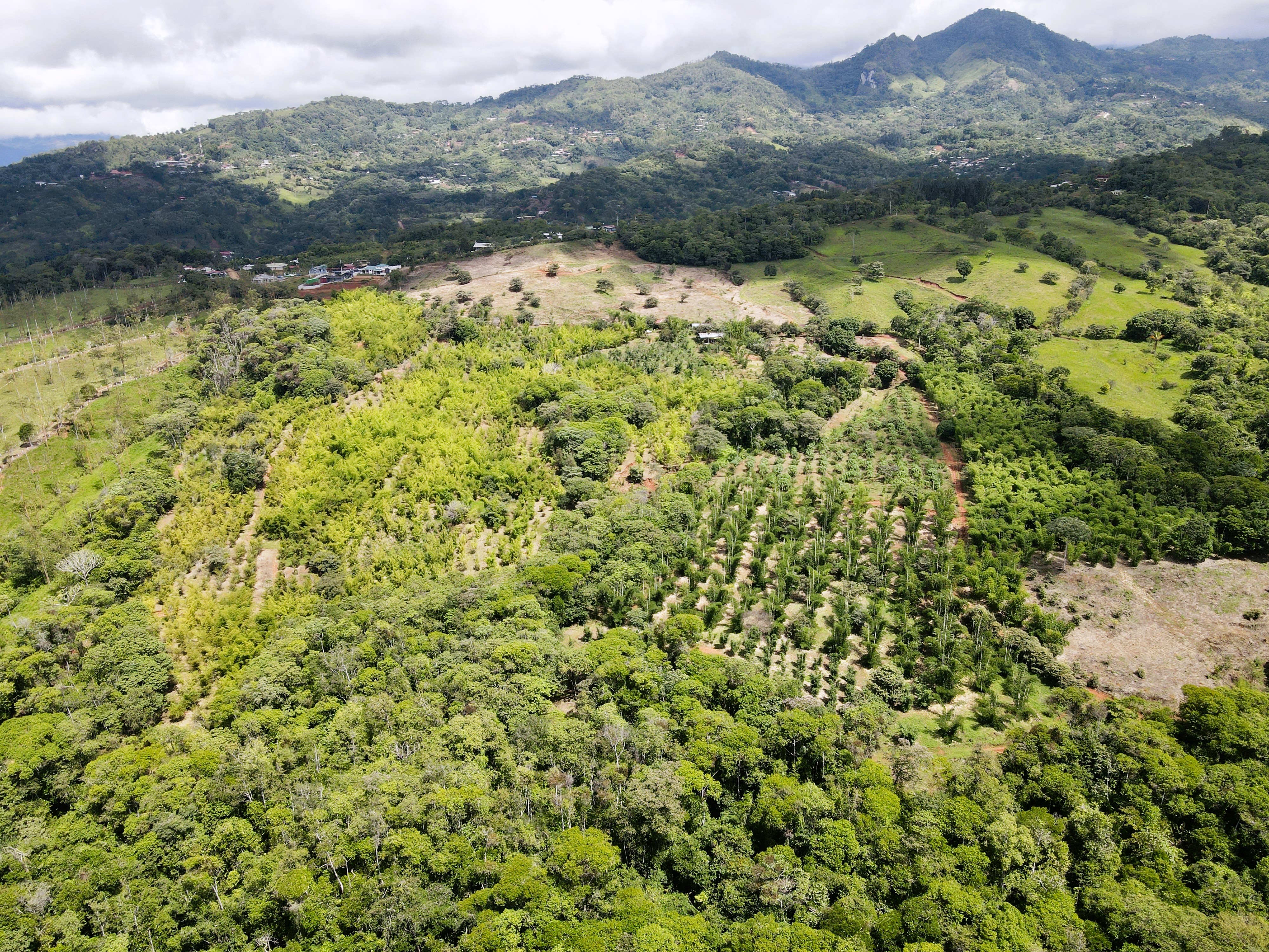 0 bed Land For Sale in Perez Zeledon, San Jose - thumb 6