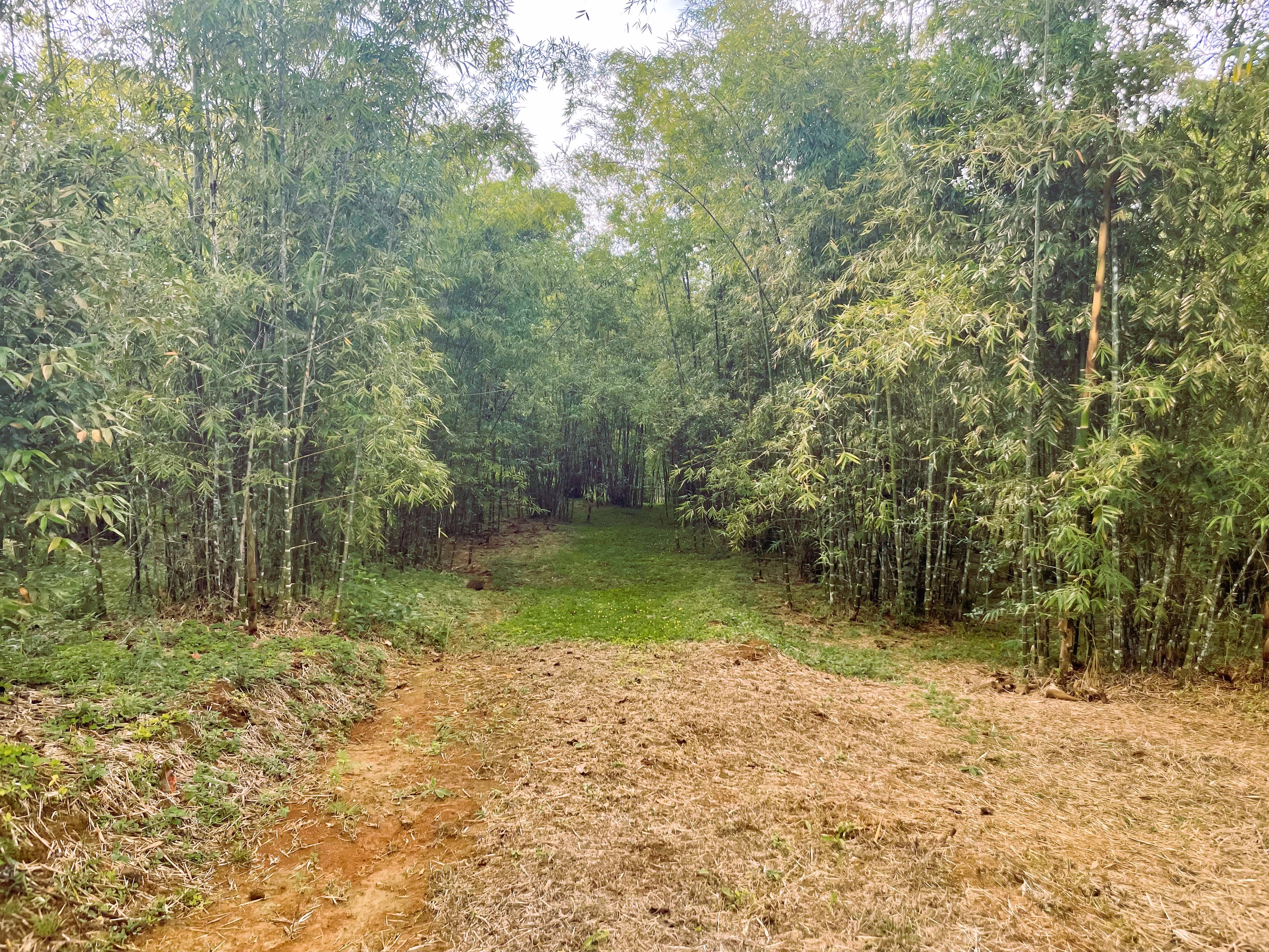 0 bed Land For Sale in Perez Zeledon, San Jose - thumb 18