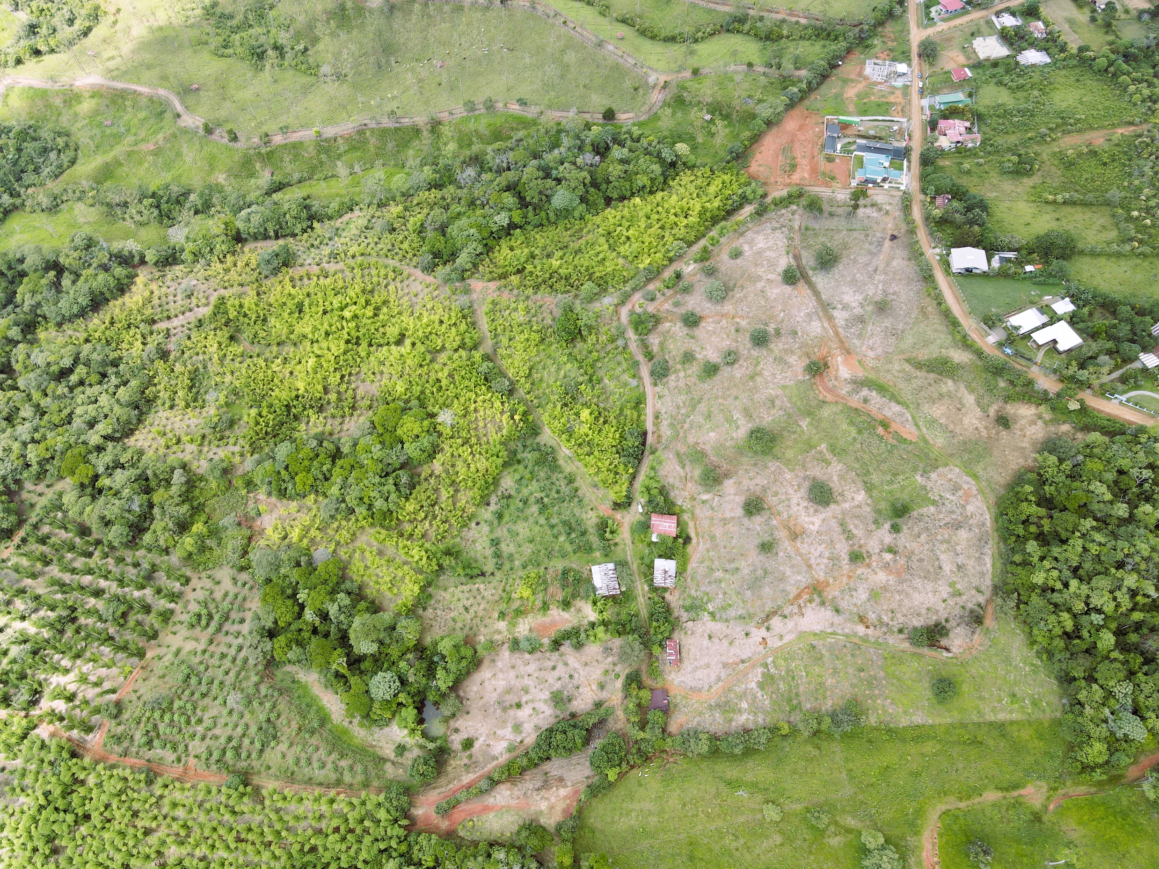 0 bed Land For Sale in Perez Zeledon, San Jose - thumb 8