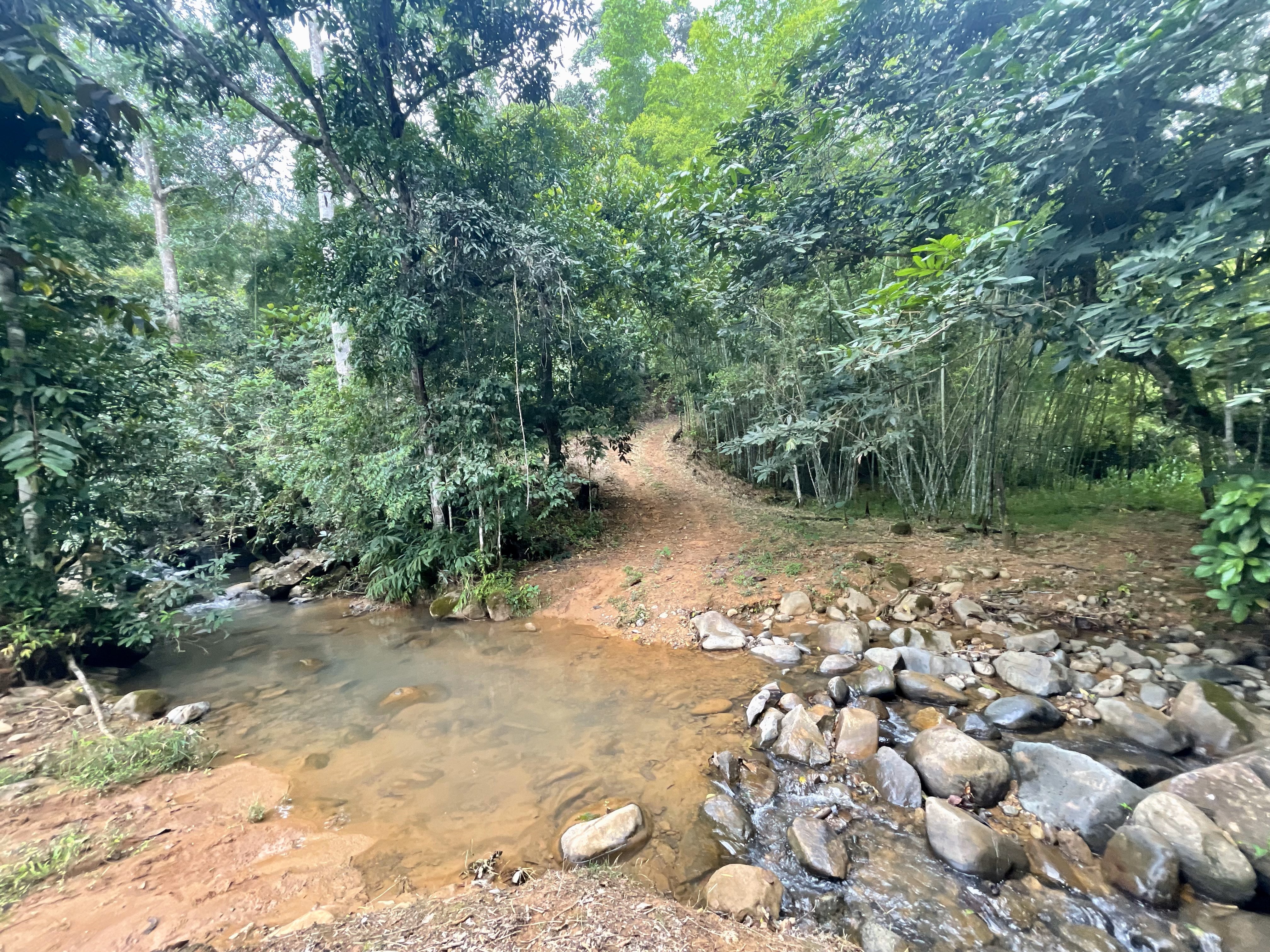 0 bed Land For Sale in Perez Zeledon, San Jose - thumb 23