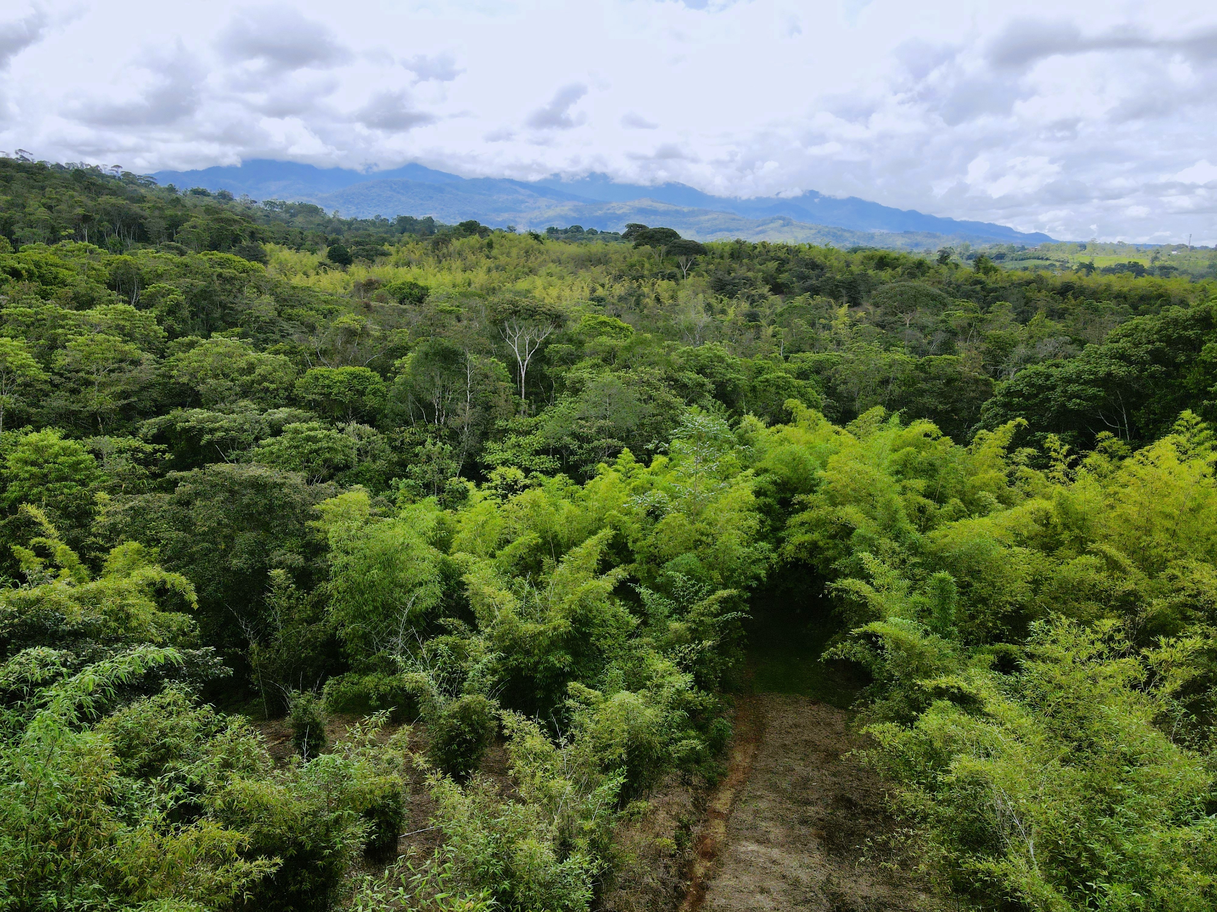 0 bed Land For Sale in Perez Zeledon, San Jose - thumb 27