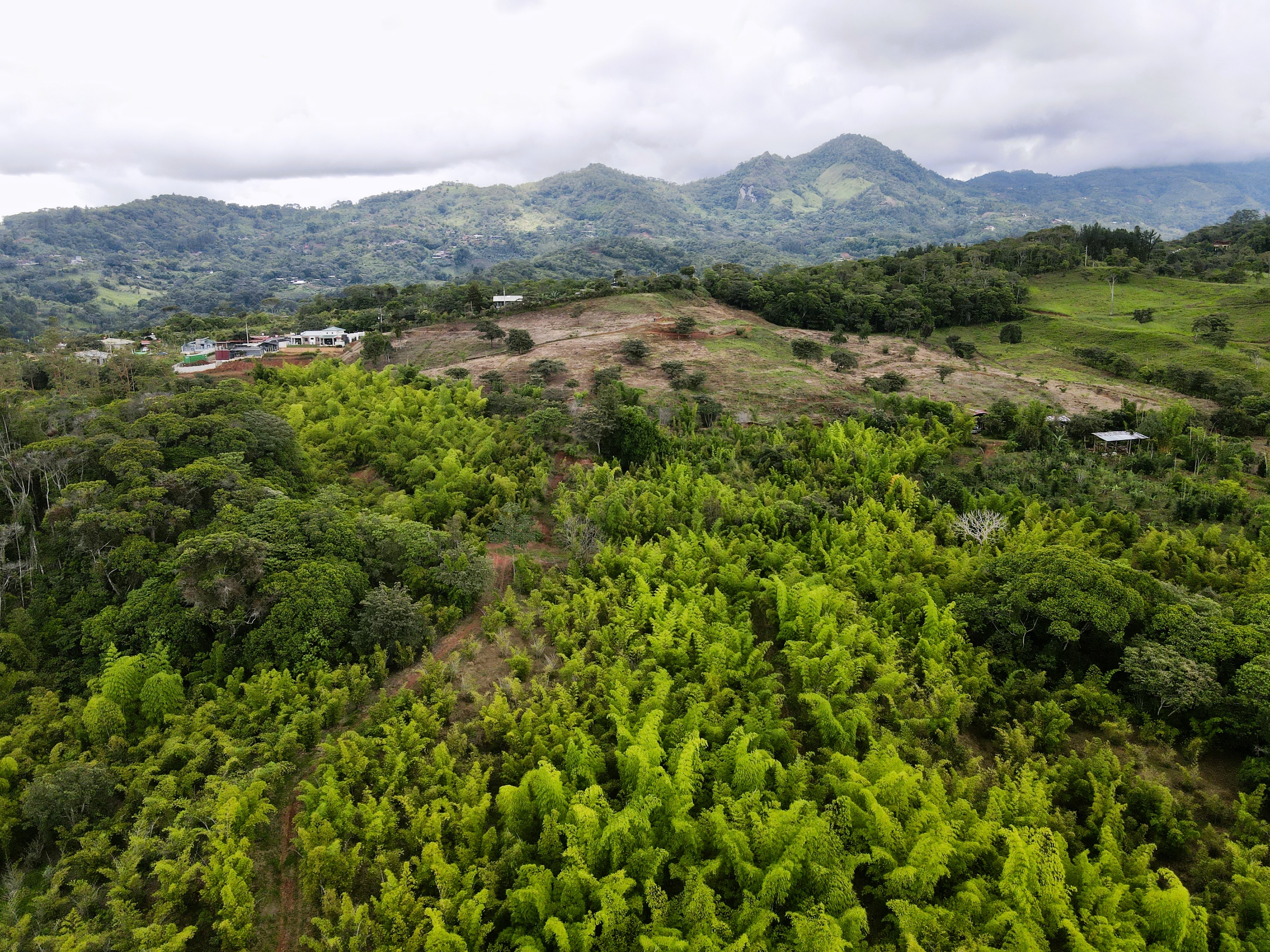 0 bed Land For Sale in Perez Zeledon, San Jose - thumb 9