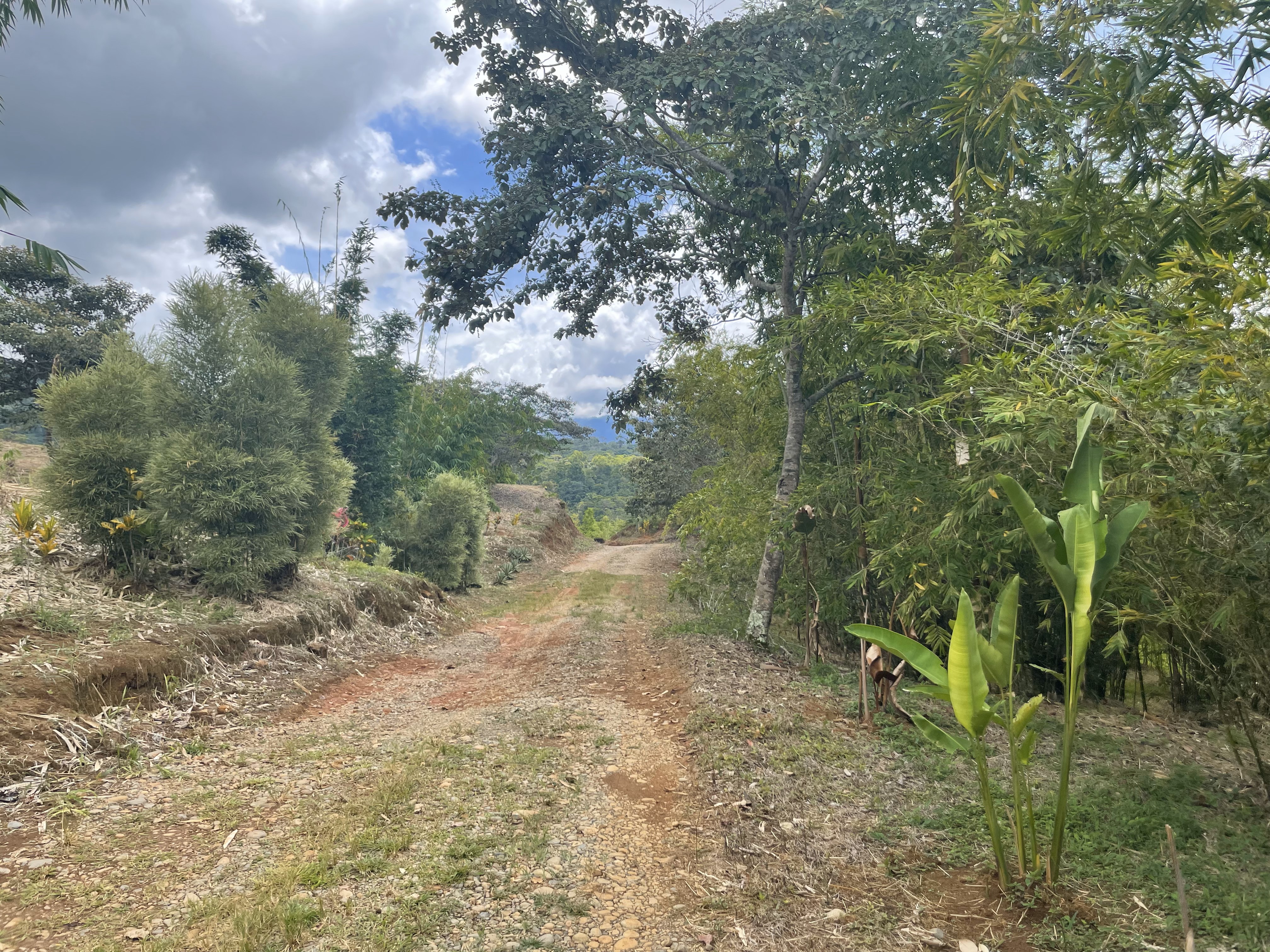 0 bed Land For Sale in Perez Zeledon, San Jose - thumb 14