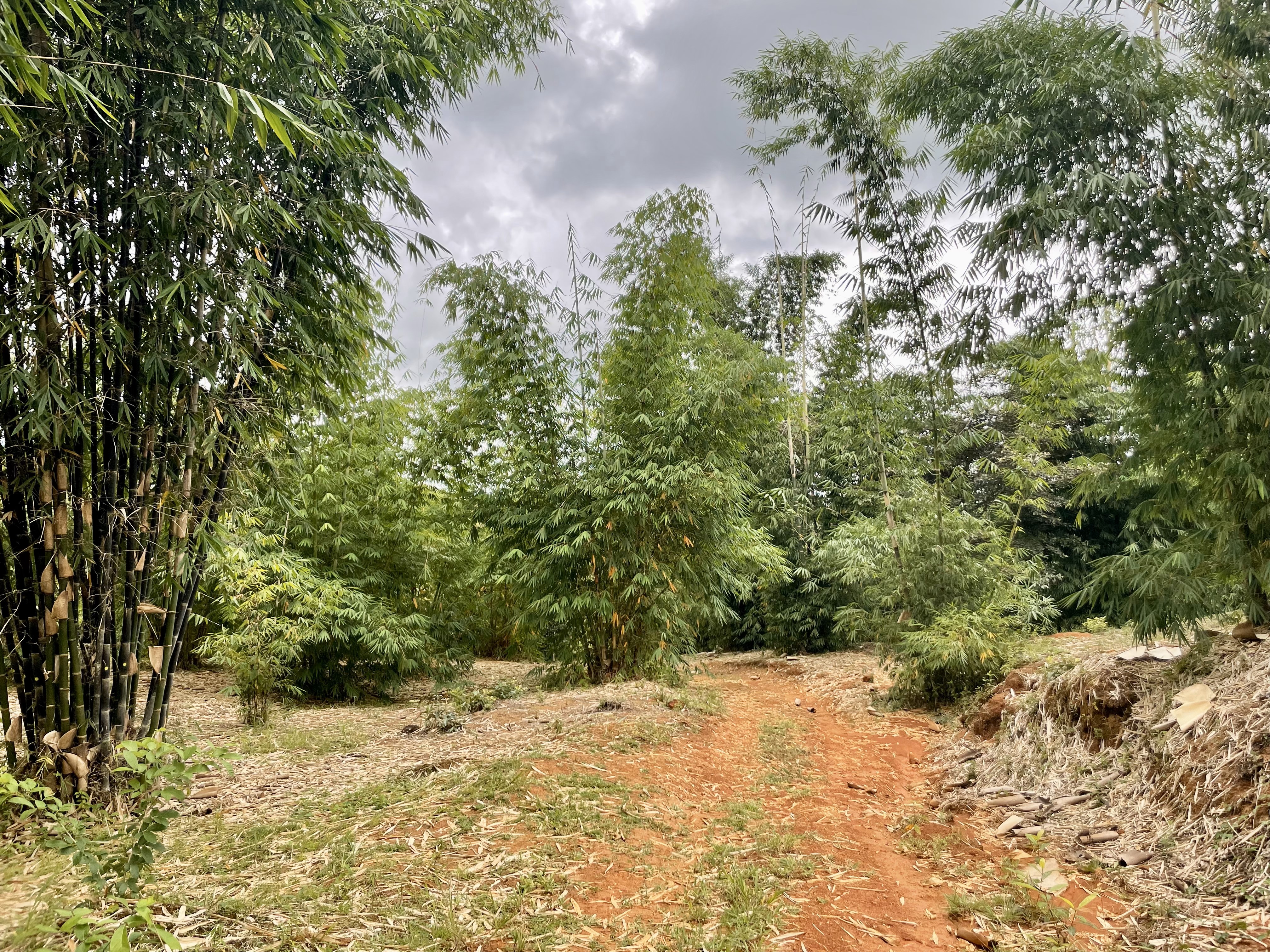 0 bed Land For Sale in Perez Zeledon, San Jose - thumb 24