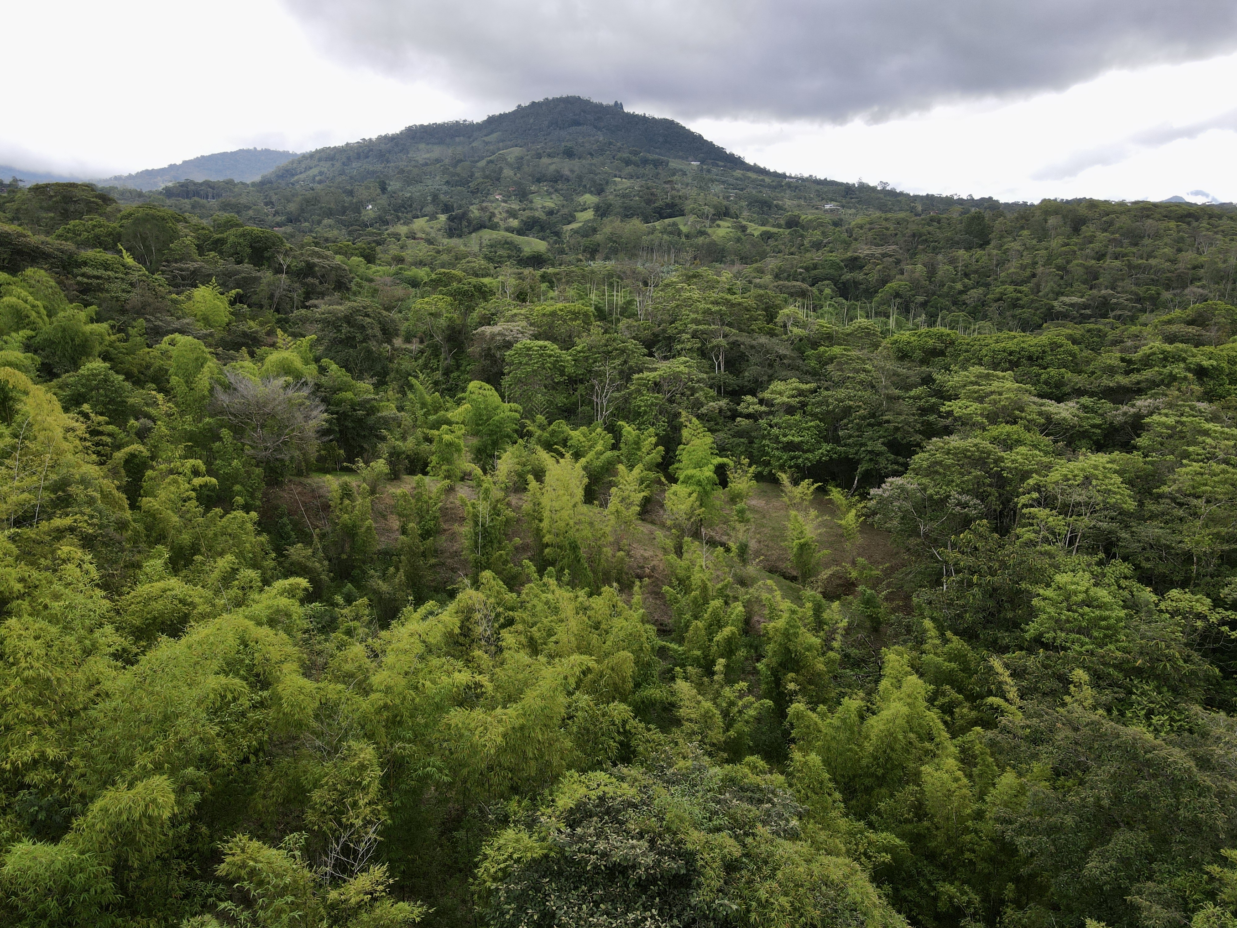 0 bed Land For Sale in Perez Zeledon, San Jose - thumb 11