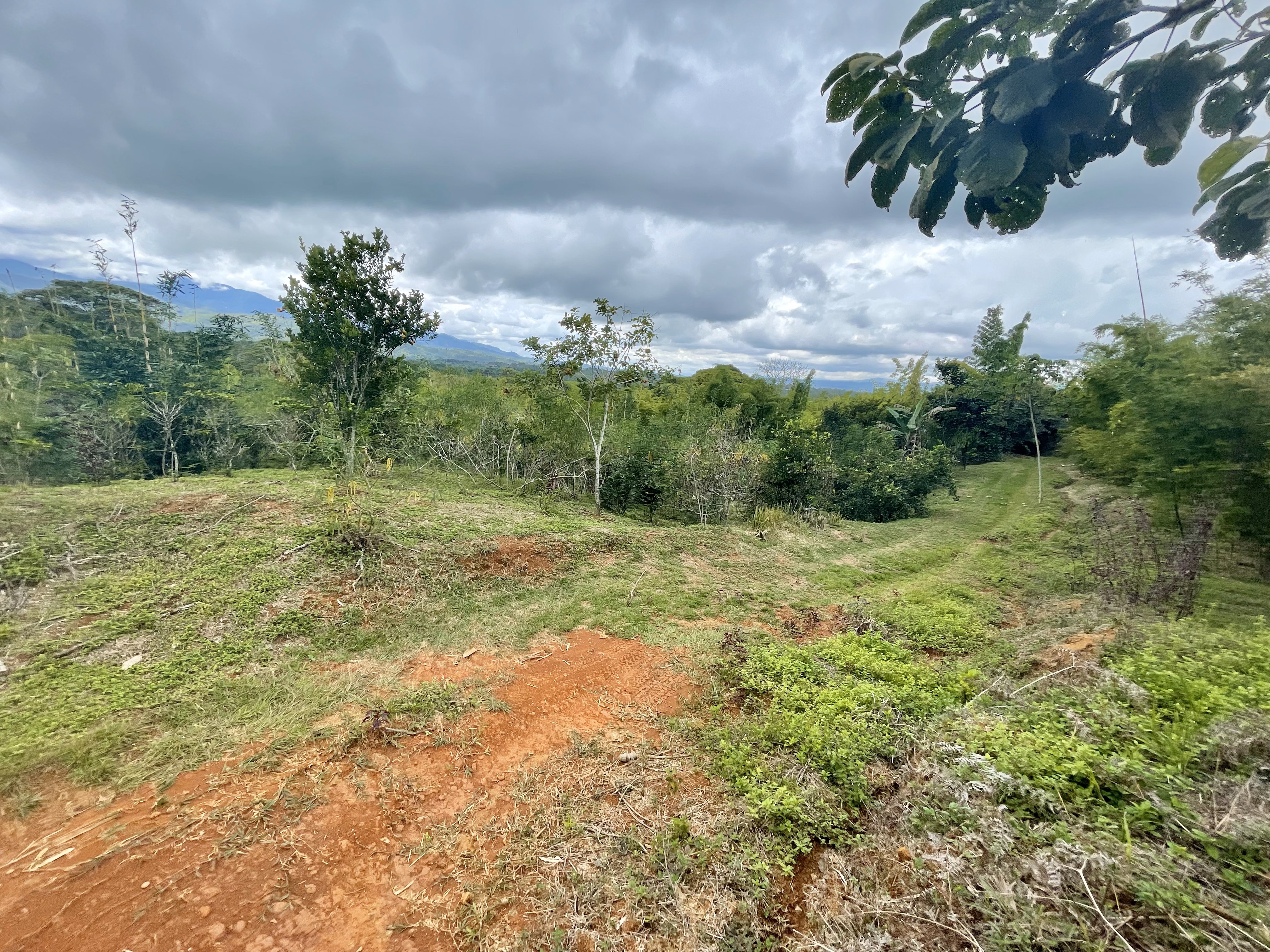 0 bed Land For Sale in Perez Zeledon, San Jose - thumb 19
