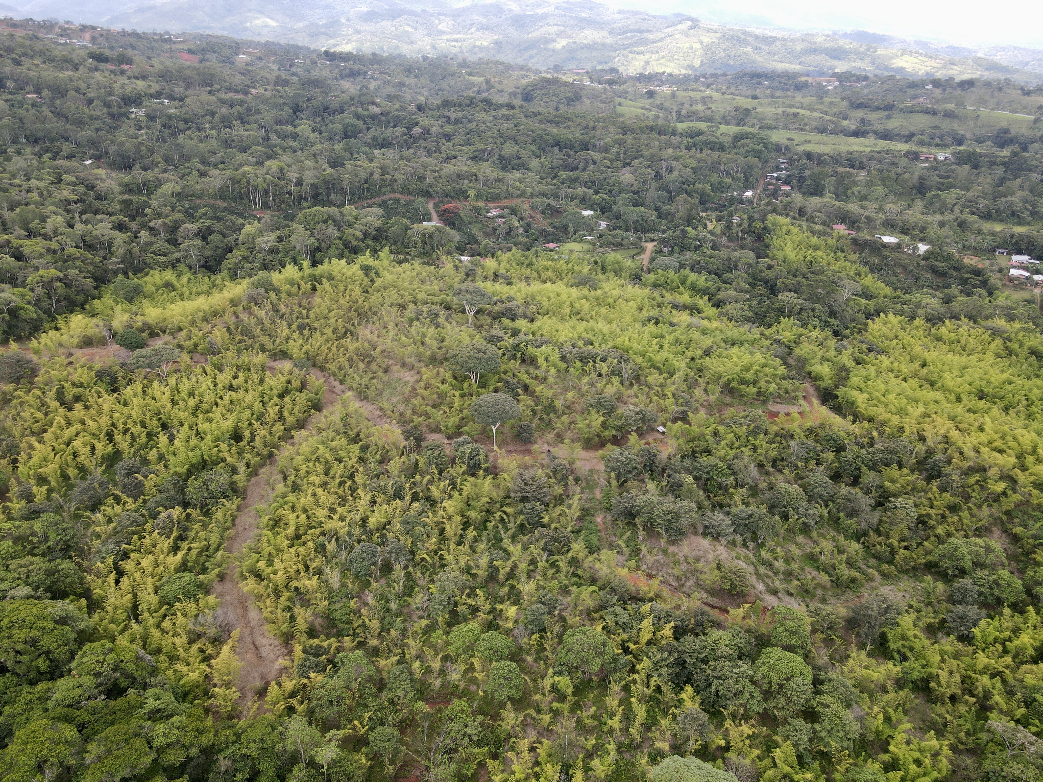 0 bed Land For Sale in Perez Zeledon, San Jose - thumb 10