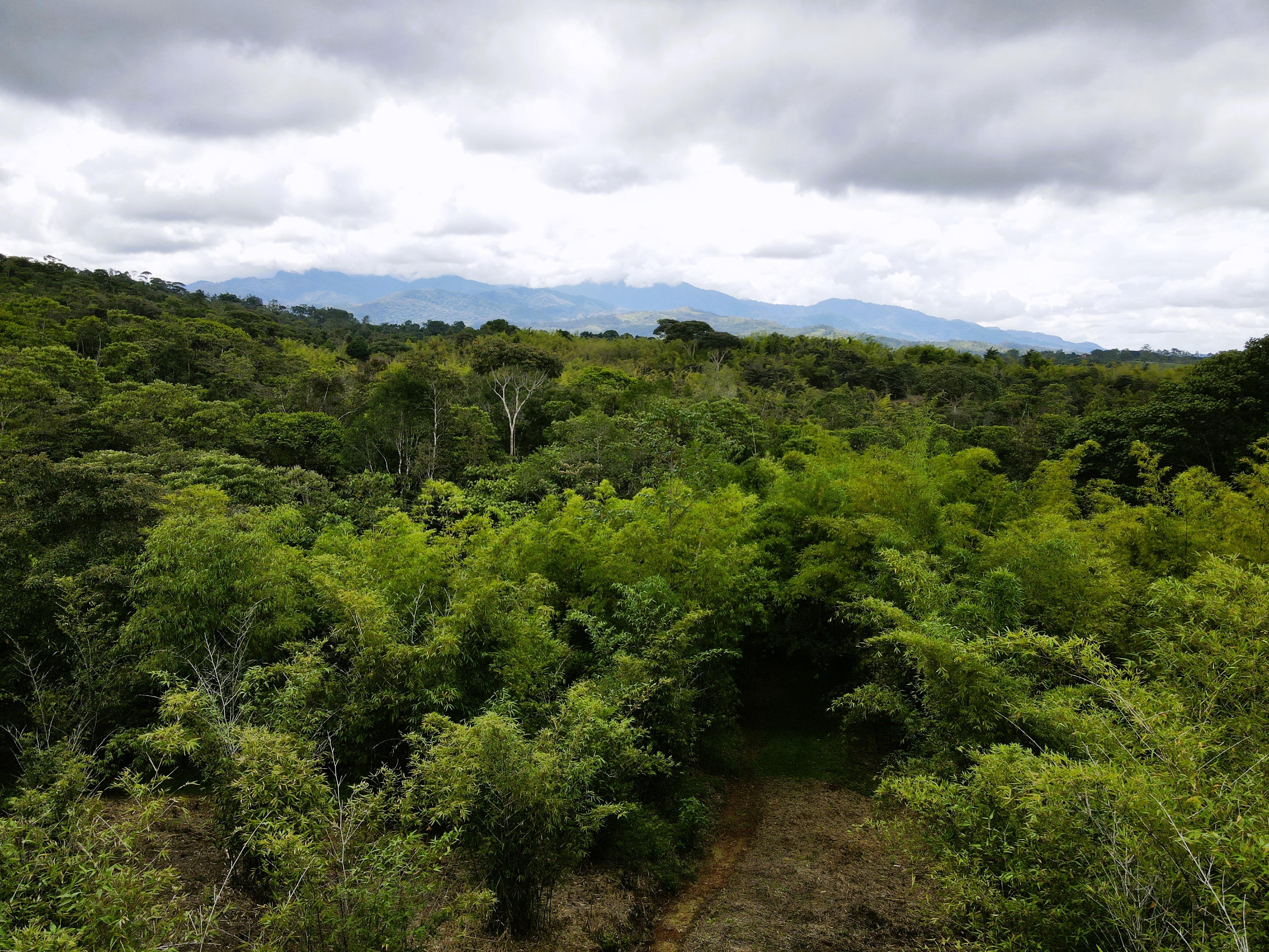 0 bed Land For Sale in Perez Zeledon, San Jose - thumb 12