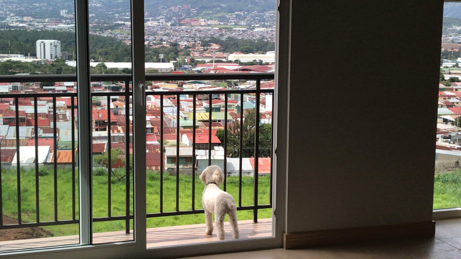 1 bed Condo For Rent in San Francisco, Heredia - thumb 10