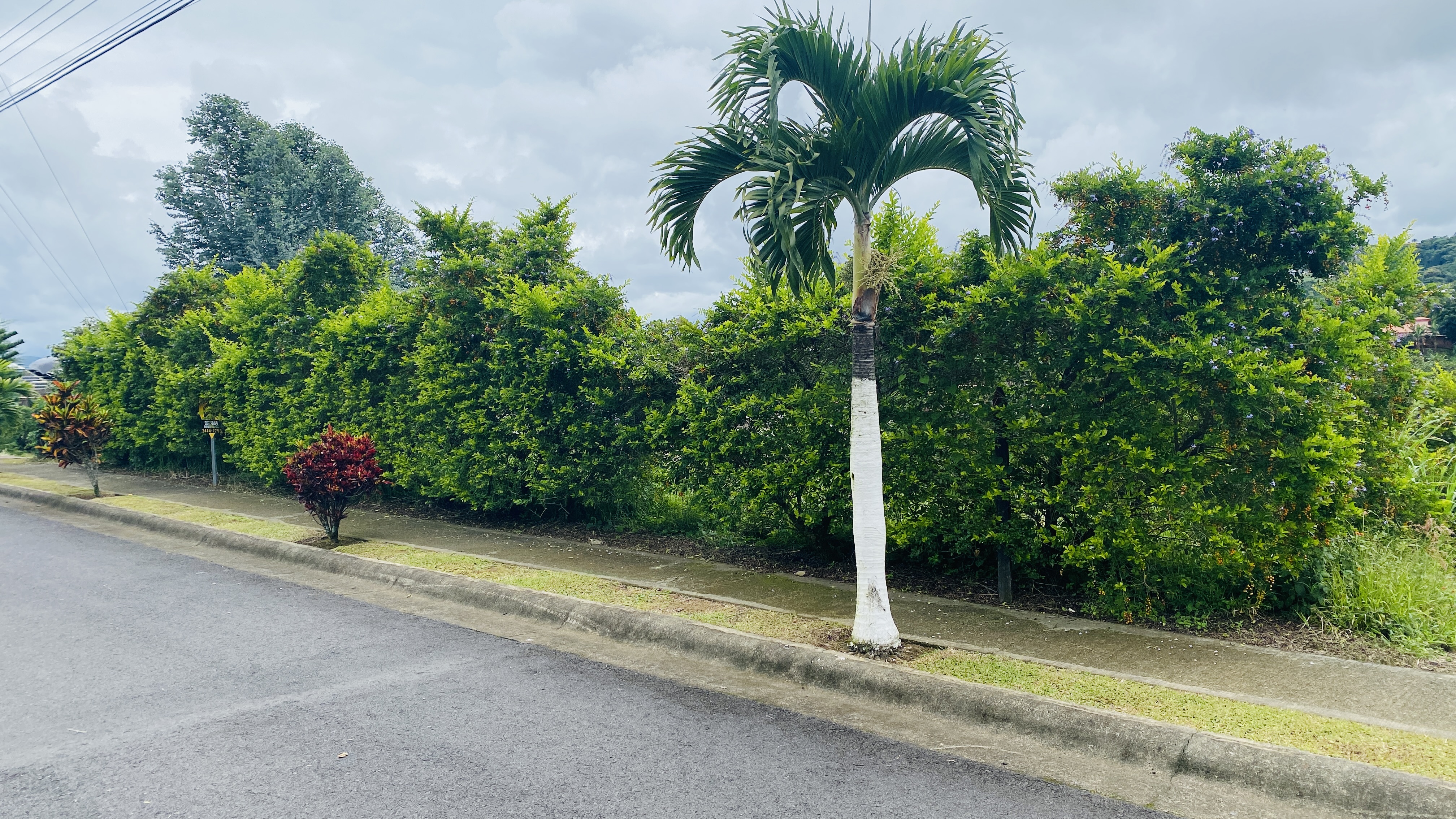 0 bed Land For Sale in Grecia, Alajuela - thumb 3