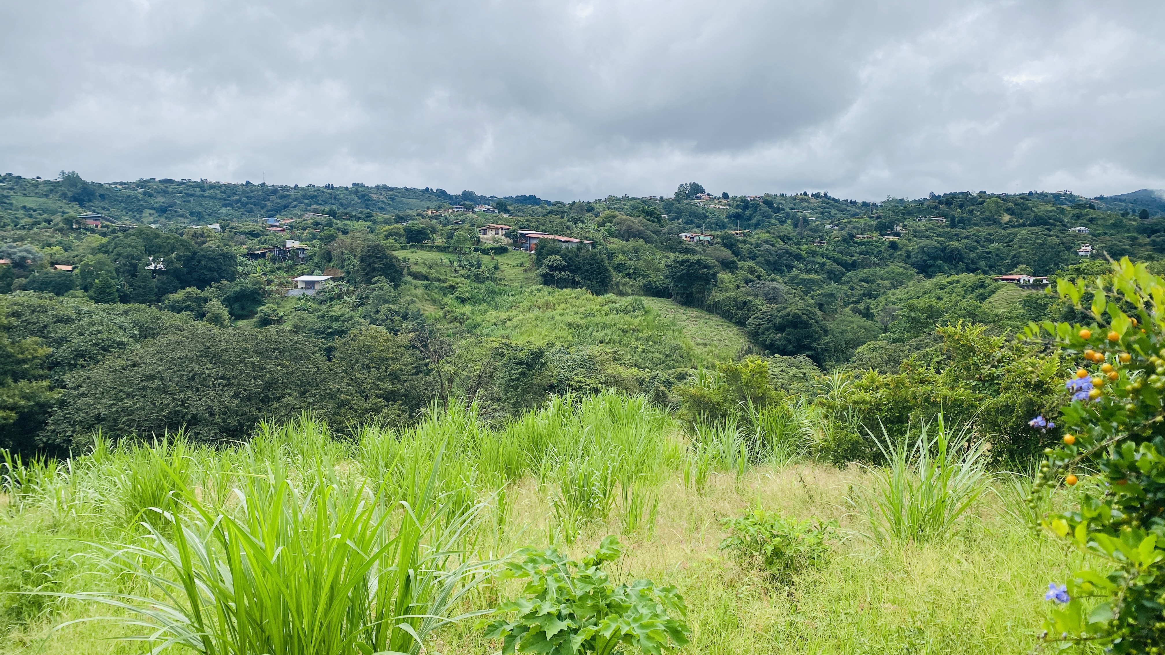 0 bed Land For Sale in Grecia, Alajuela - thumb 6