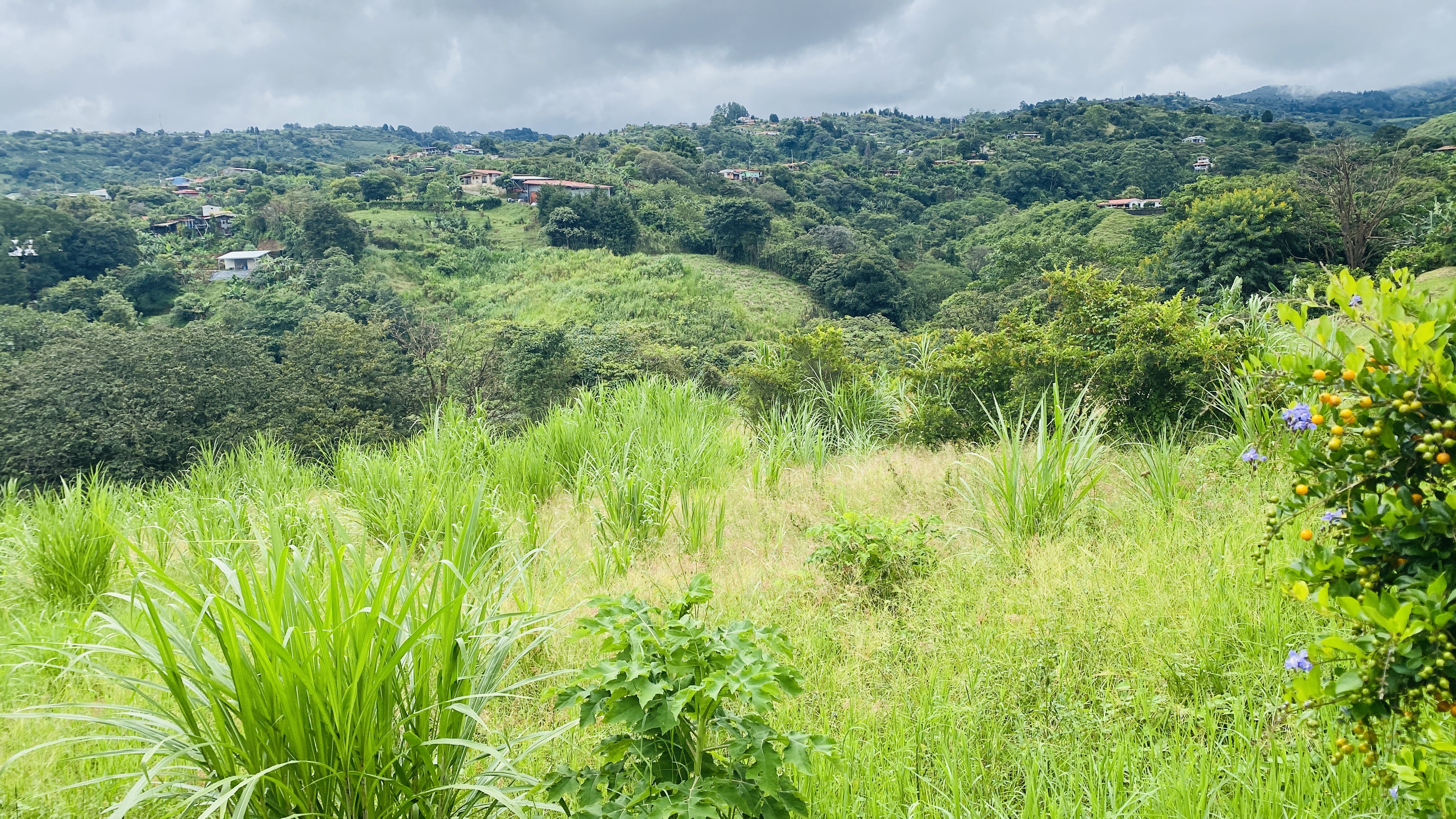 0 bed Land For Sale in Grecia, Alajuela - thumb 5