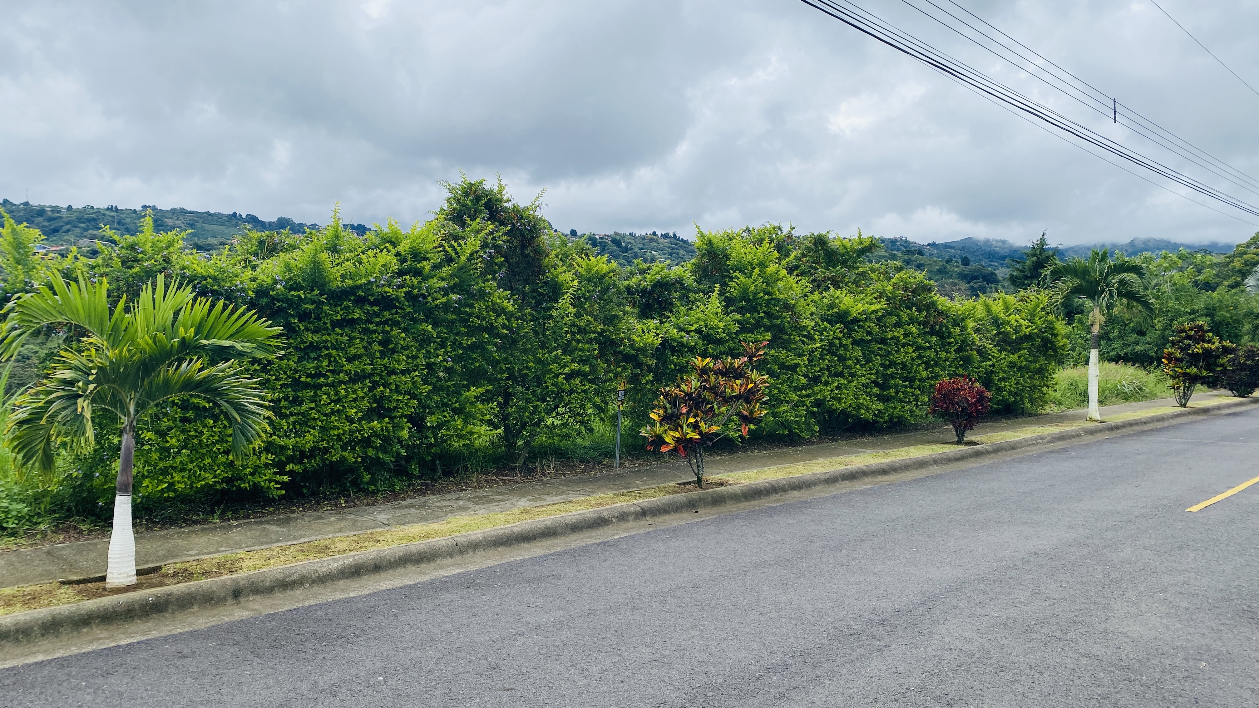 0 bed Land For Sale in Grecia, Alajuela - thumb 4