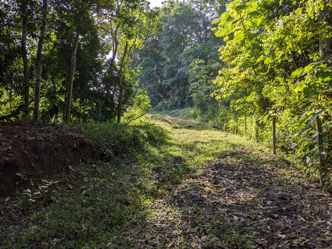 0 bed Land For Sale in Punta Leona, Puntarenas - thumb 21