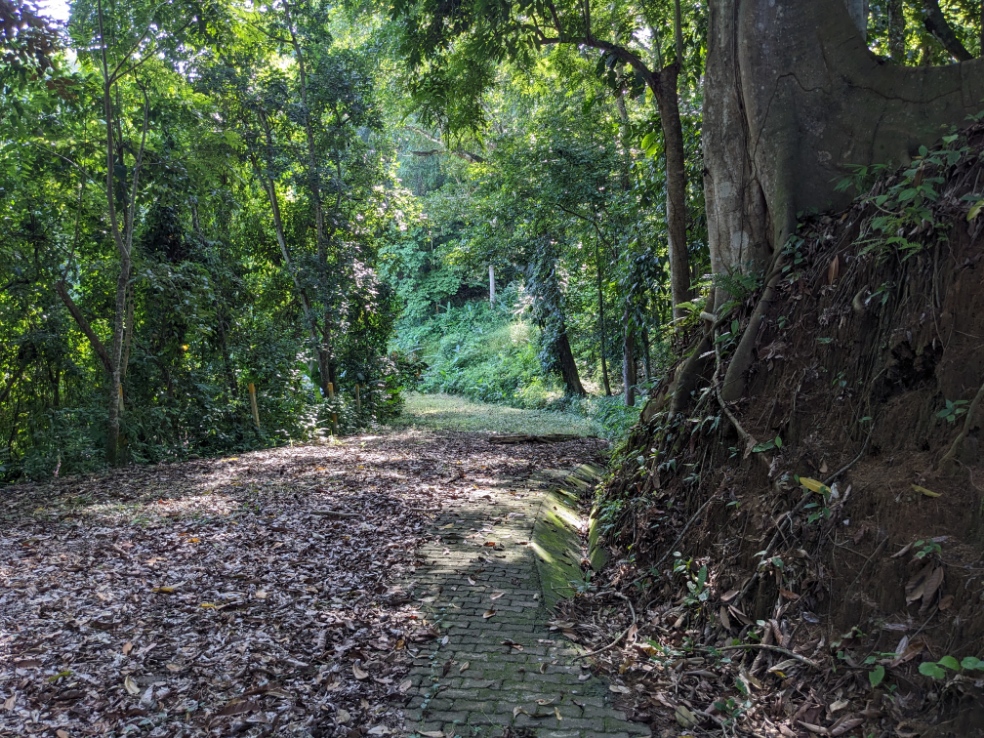 0 bed Land For Sale in Punta Leona, Puntarenas - thumb 11