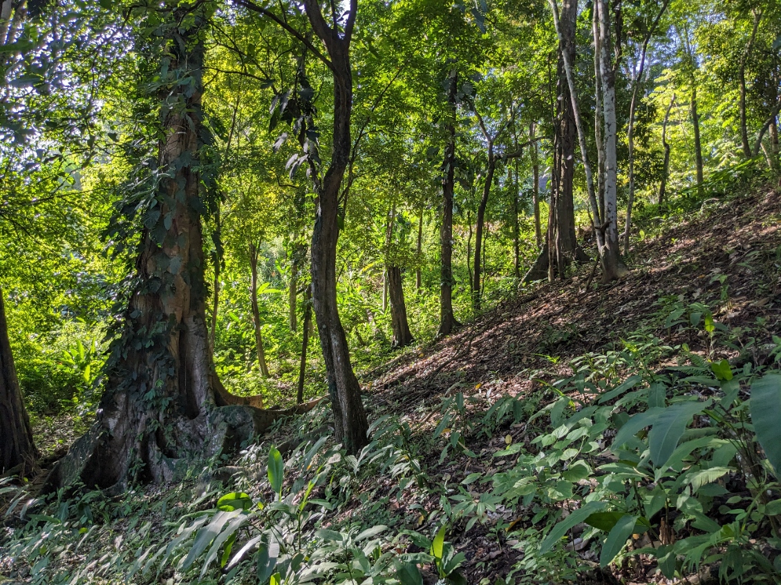 0 bed Land For Sale in Punta Leona, Puntarenas - thumb 18