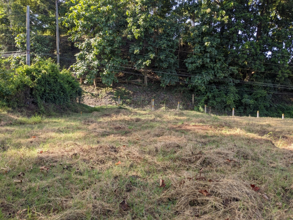 0 bed Land For Sale in Punta Leona, Puntarenas - thumb 5