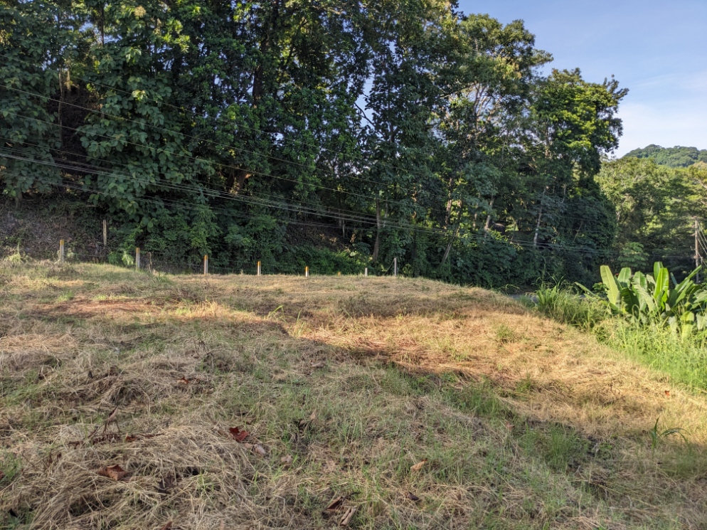 0 bed Land For Sale in Punta Leona, Puntarenas - thumb 6