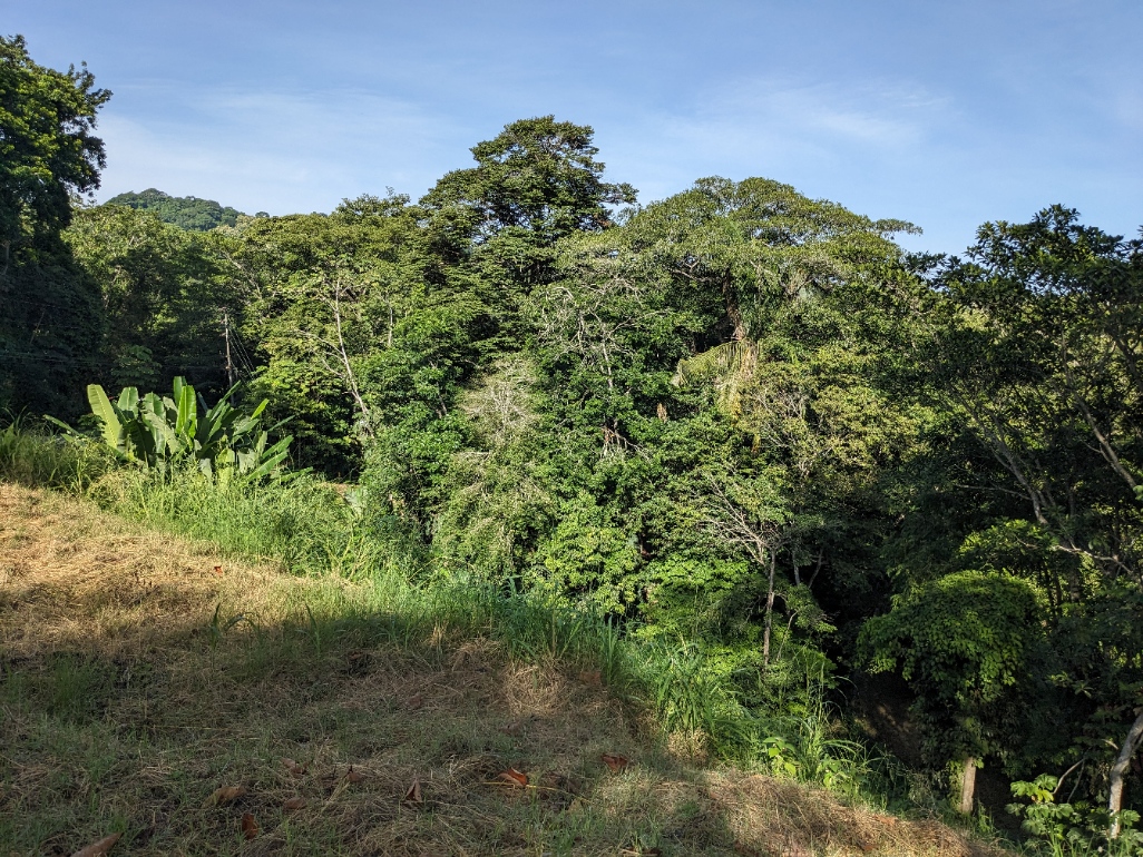 0 bed Land For Sale in Punta Leona, Puntarenas - thumb 4