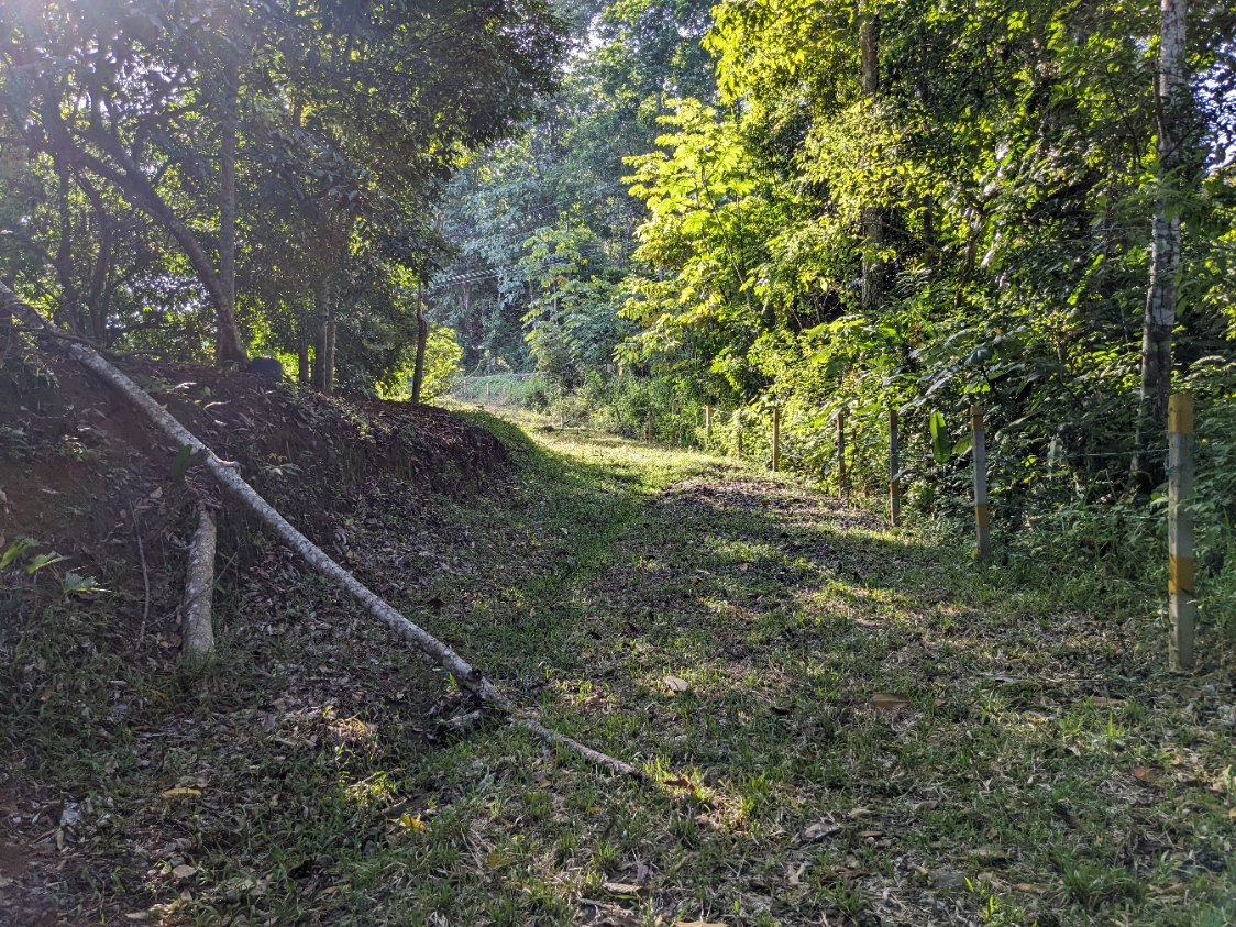 0 bed Land For Sale in Punta Leona, Puntarenas - thumb 10