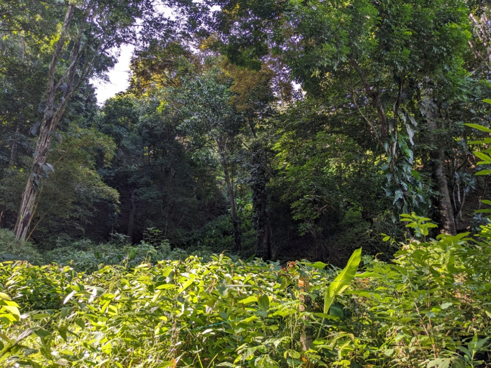 0 bed Land For Sale in Punta Leona, Puntarenas - thumb 14