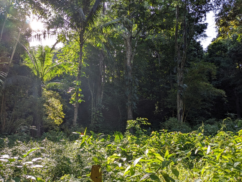 0 bed Land For Sale in Punta Leona, Puntarenas - thumb 15