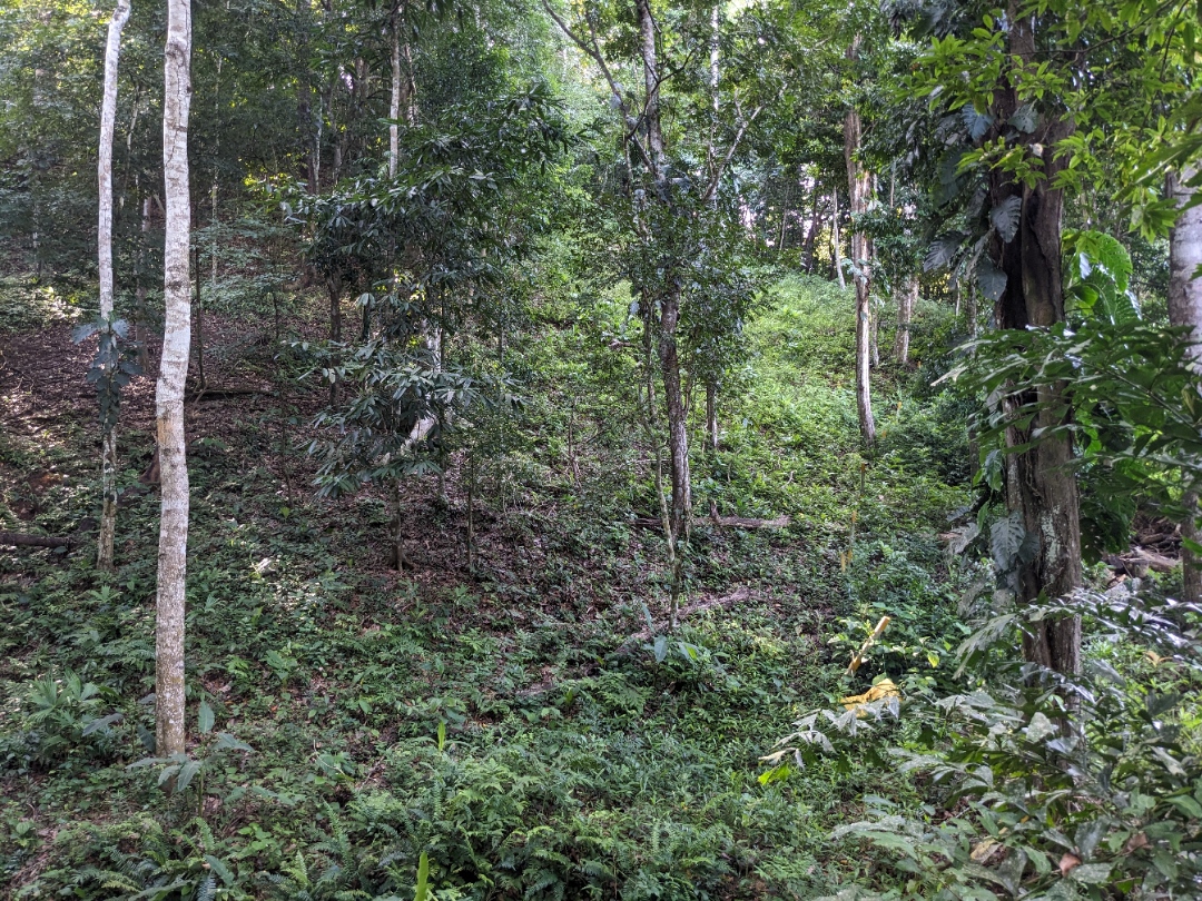 0 bed Land For Sale in Punta Leona, Puntarenas - thumb 17