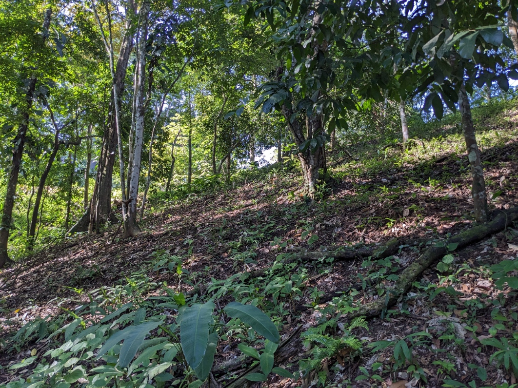 0 bed Land For Sale in Punta Leona, Puntarenas - thumb 20