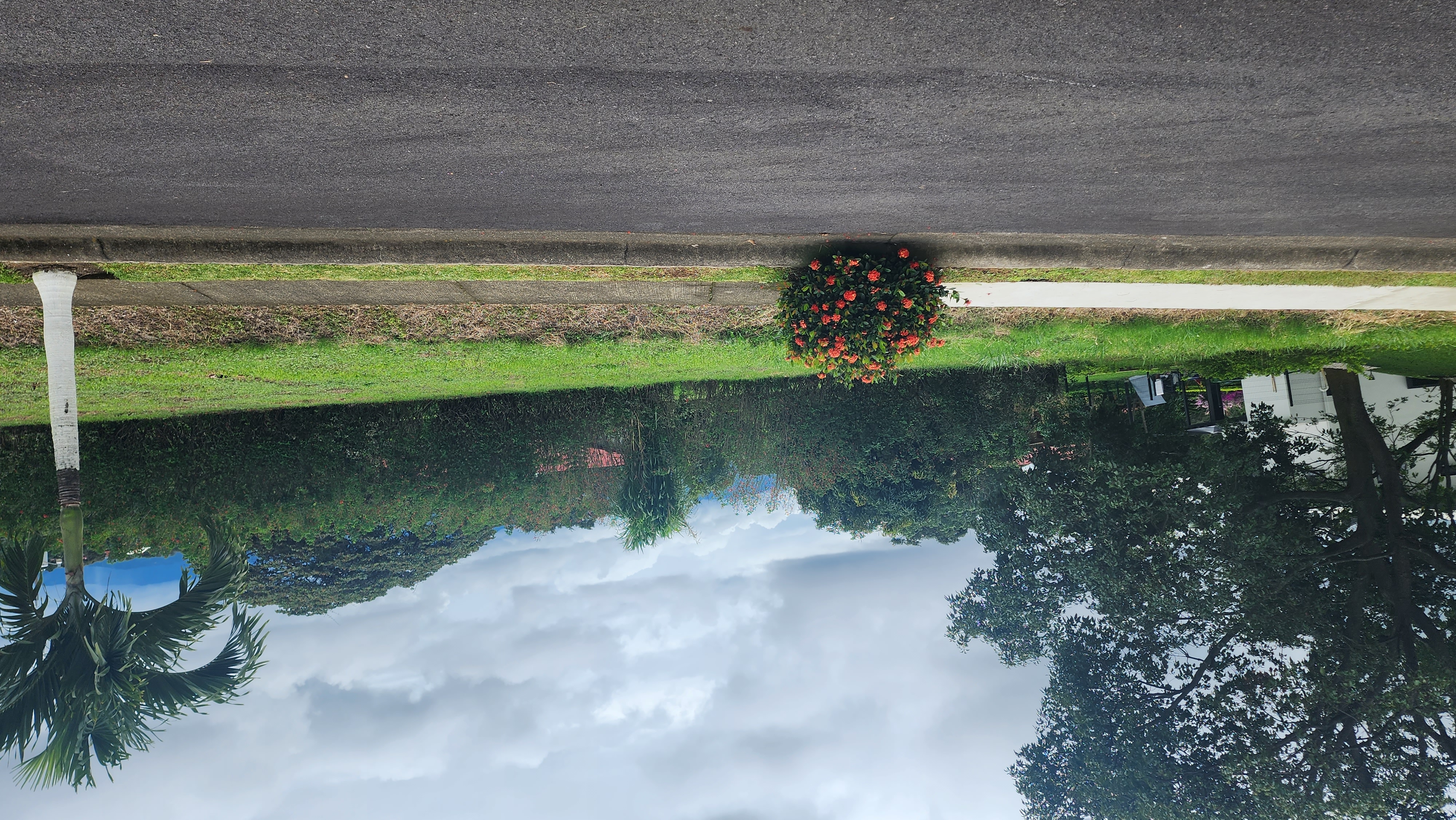 0 bed Land For Sale in Grecia, Alajuela - thumb 2