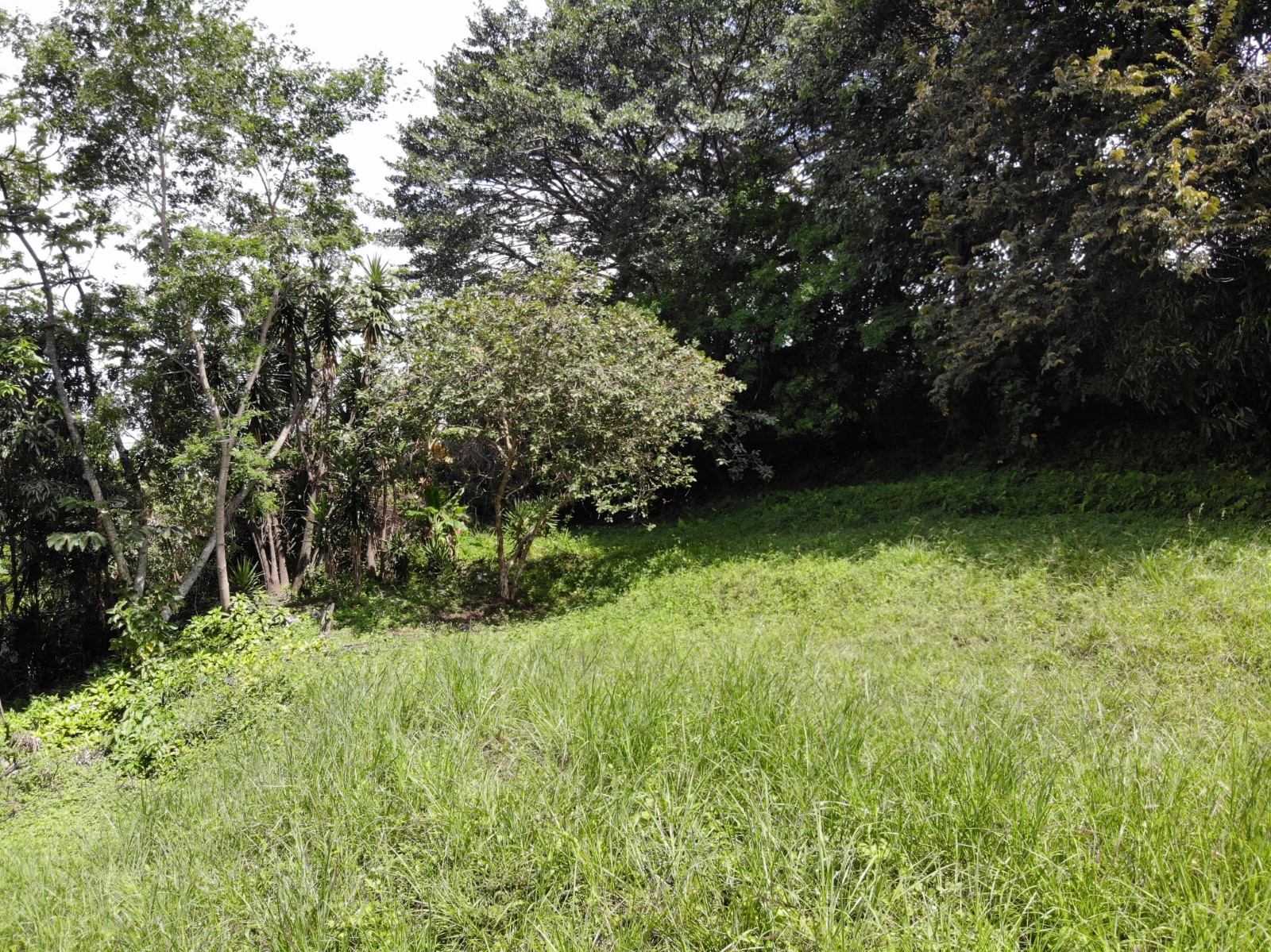0 bed Land For Sale in Escazu, San Jose - thumb 5