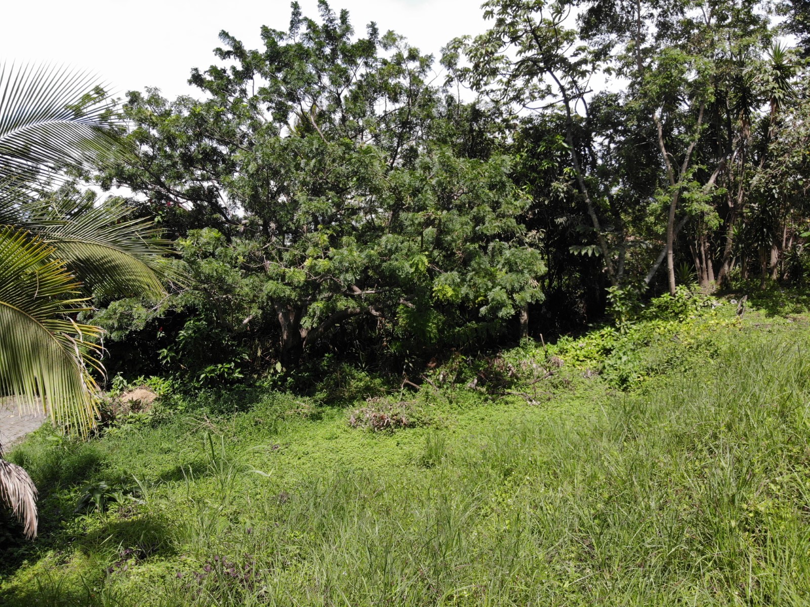 0 bed Land For Sale in Escazu, San Jose - thumb 7