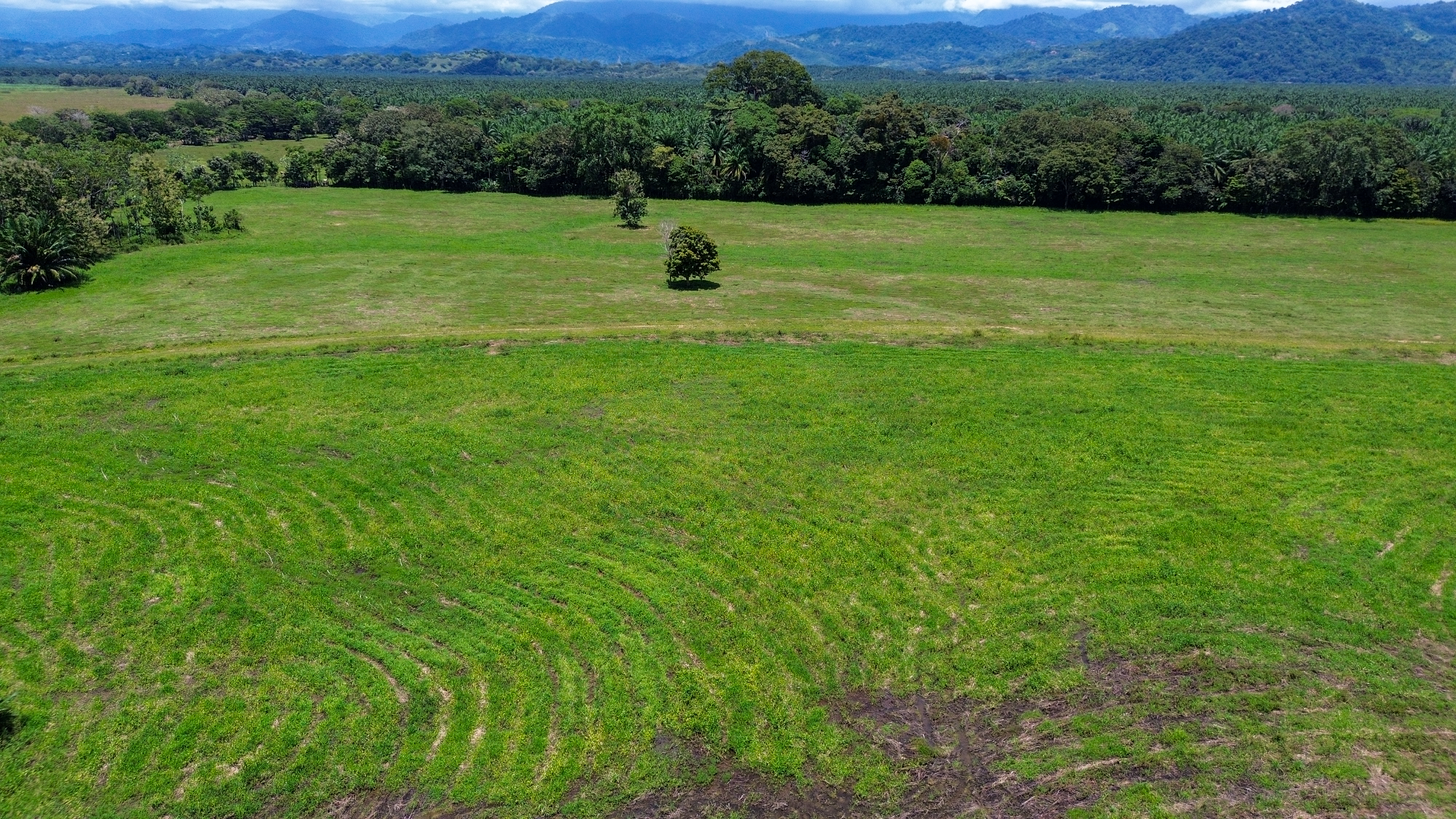 0 bed Land For Sale in Quepos, Puntarenas - thumb 14