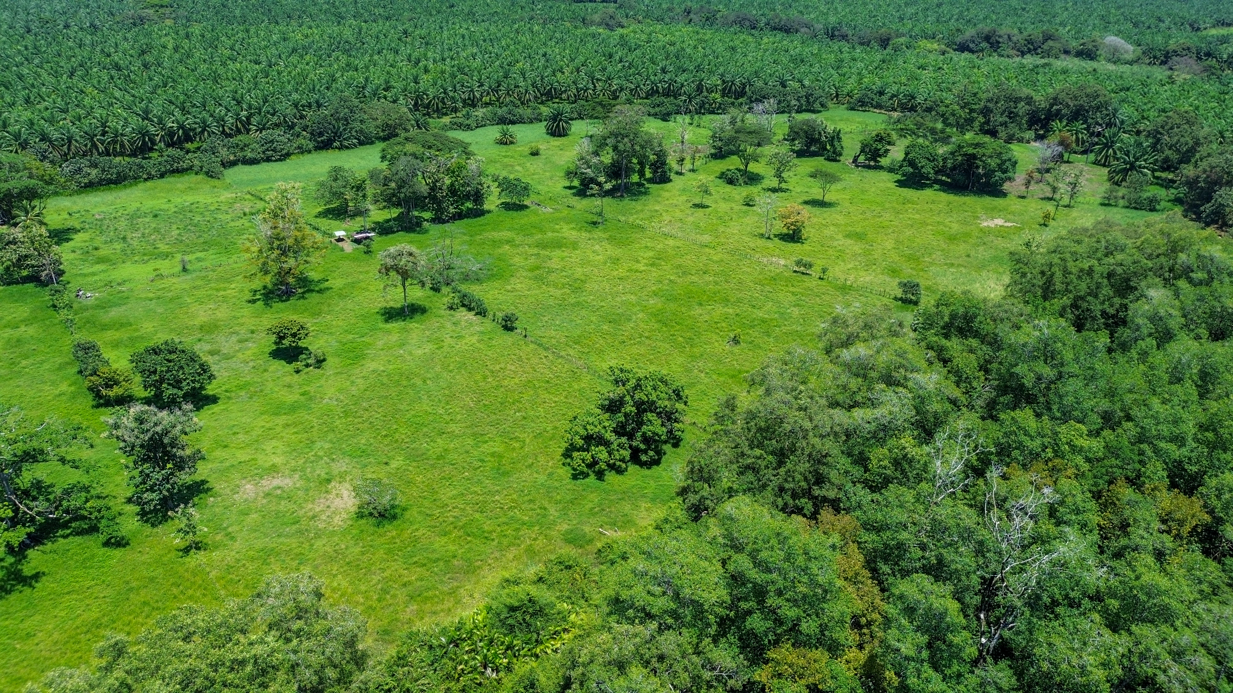 0 bed Land For Sale in Quepos, Puntarenas - thumb 10