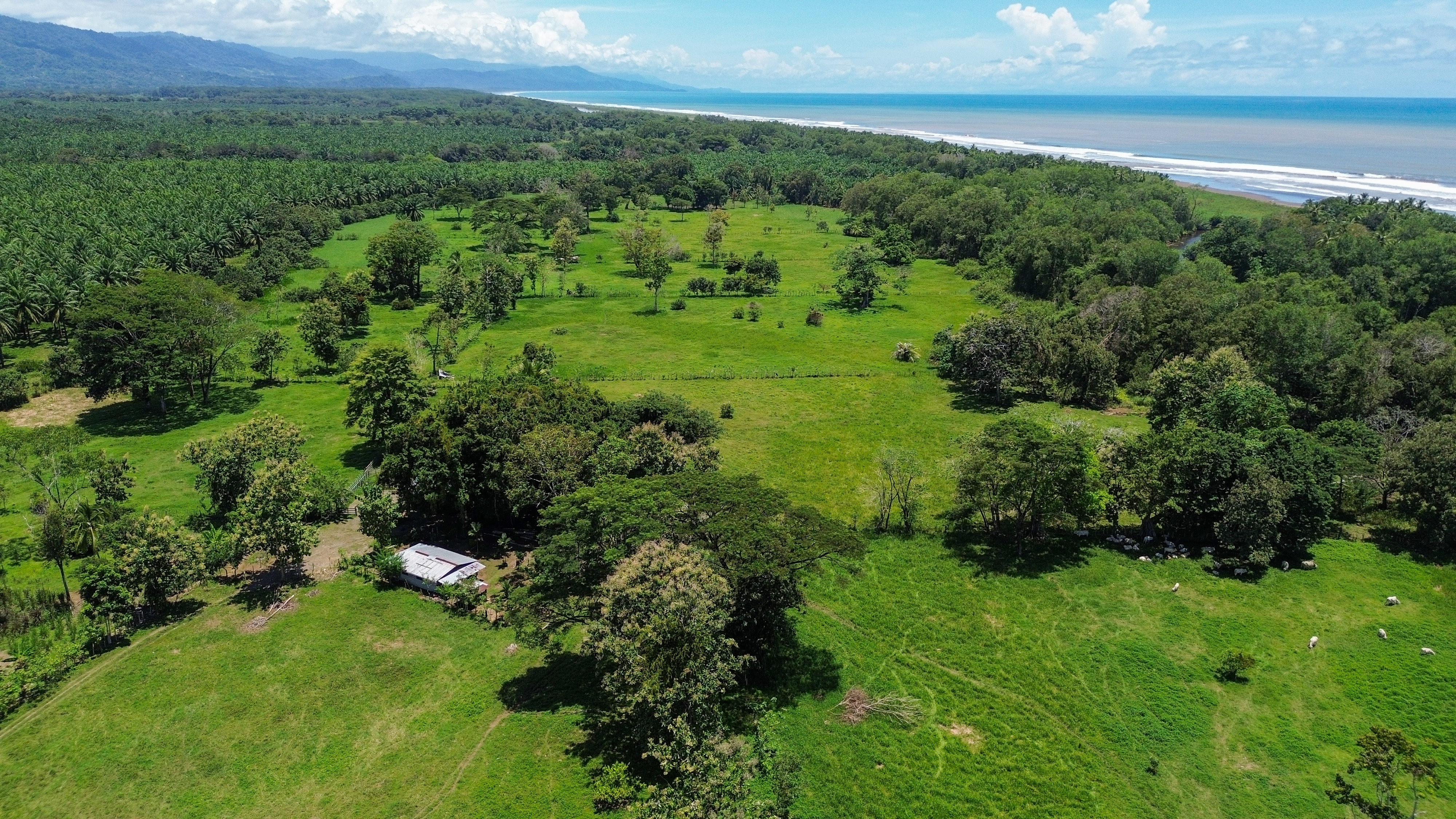 0 bed Land For Sale in Quepos, Puntarenas - thumb 13