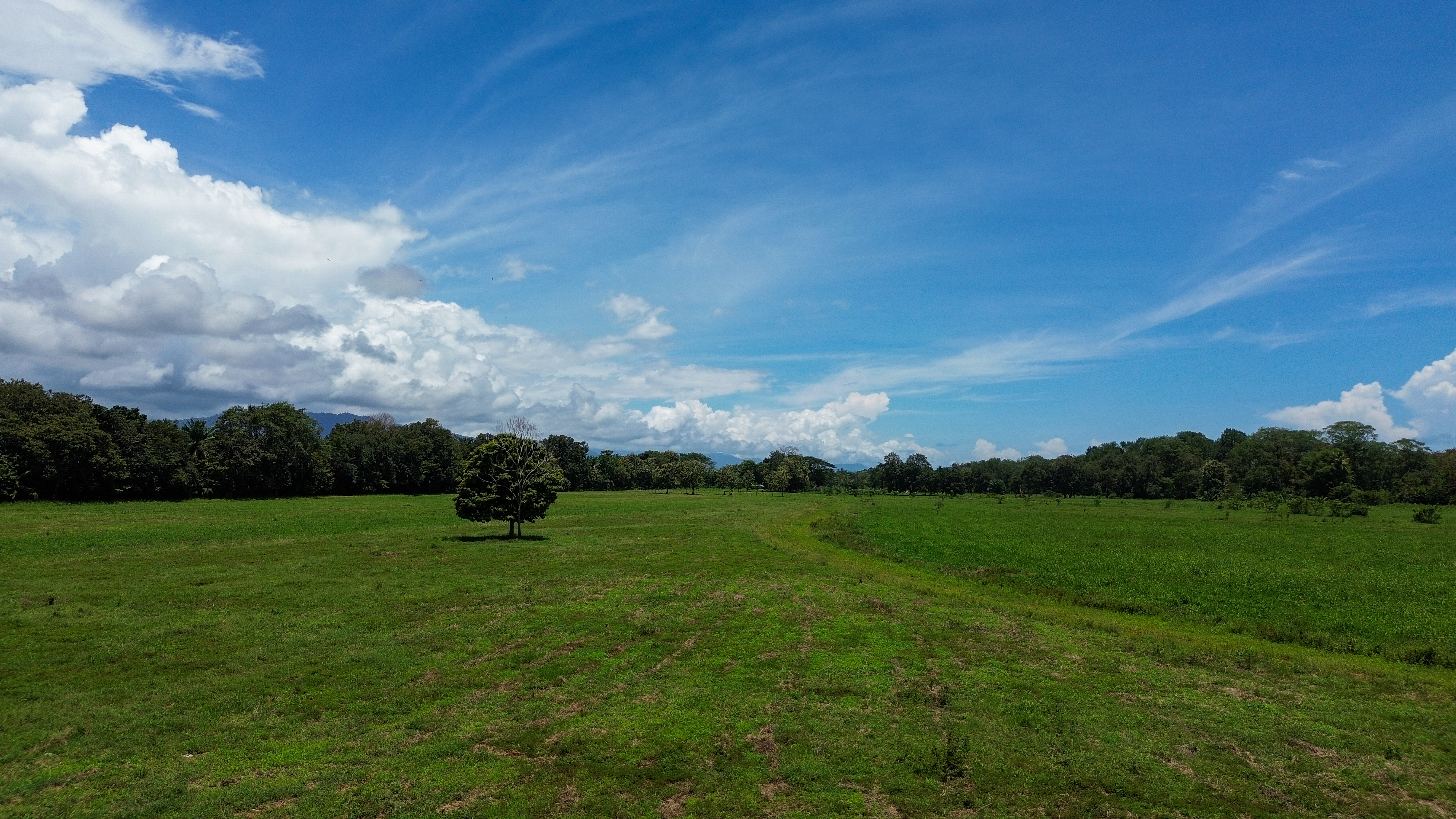 0 bed Land For Sale in Quepos, Puntarenas - thumb 4