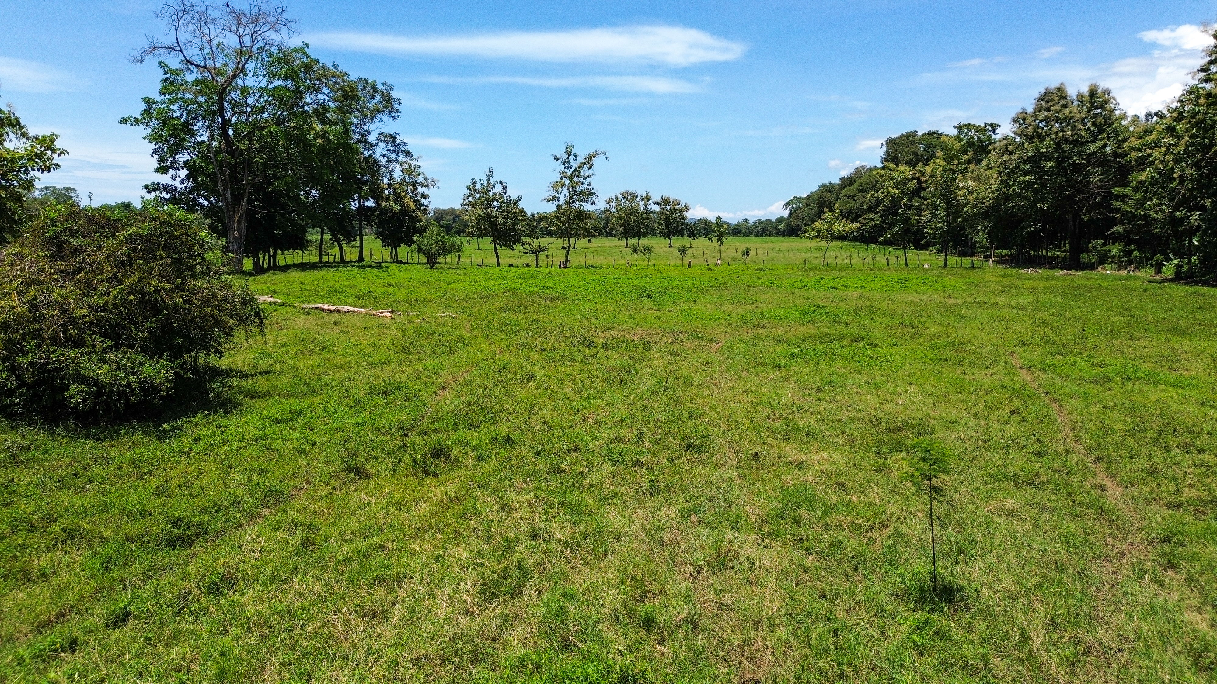 0 bed Land For Sale in Quepos, Puntarenas - thumb 7