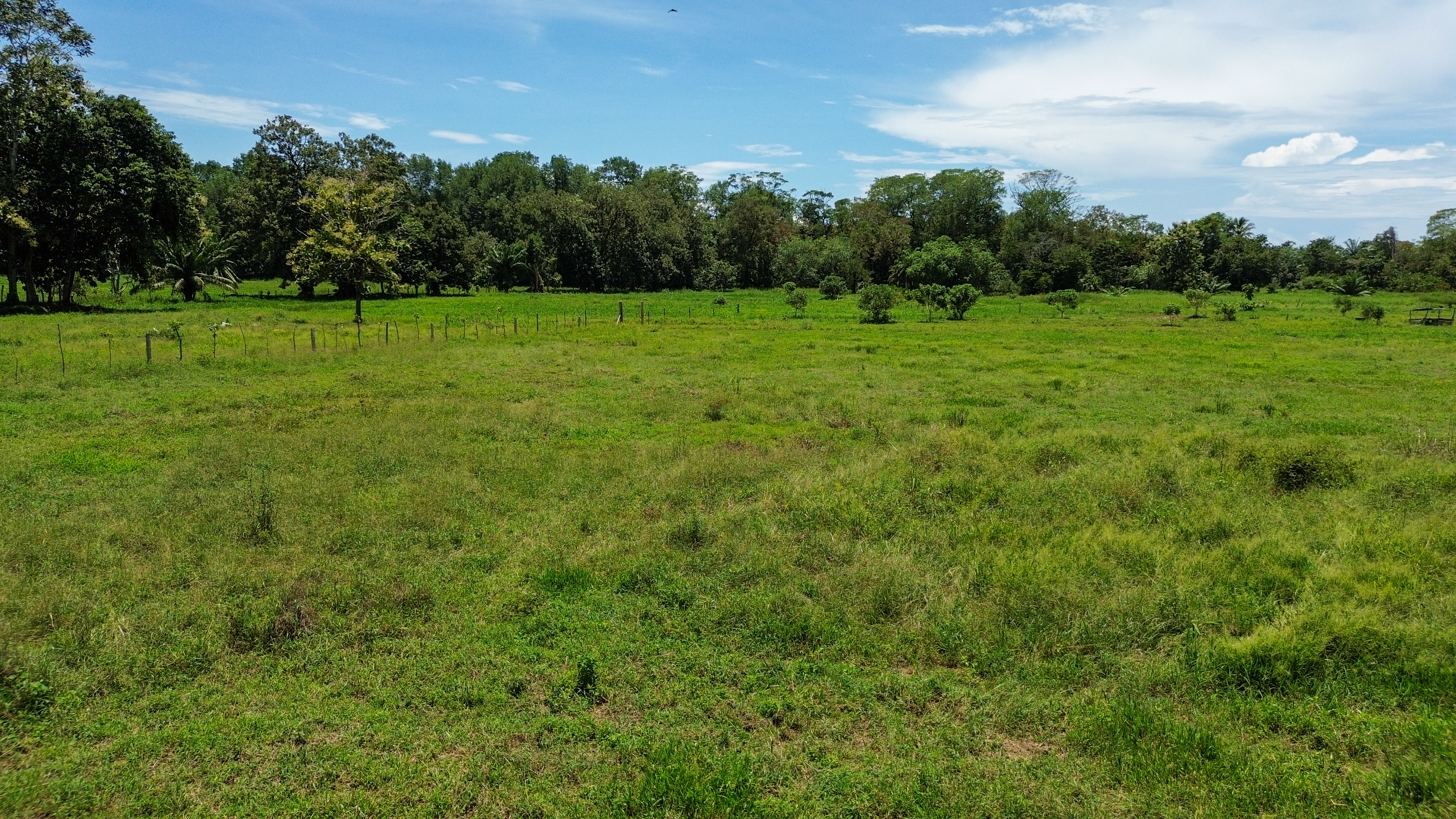 0 bed Land For Sale in Quepos, Puntarenas - thumb 8