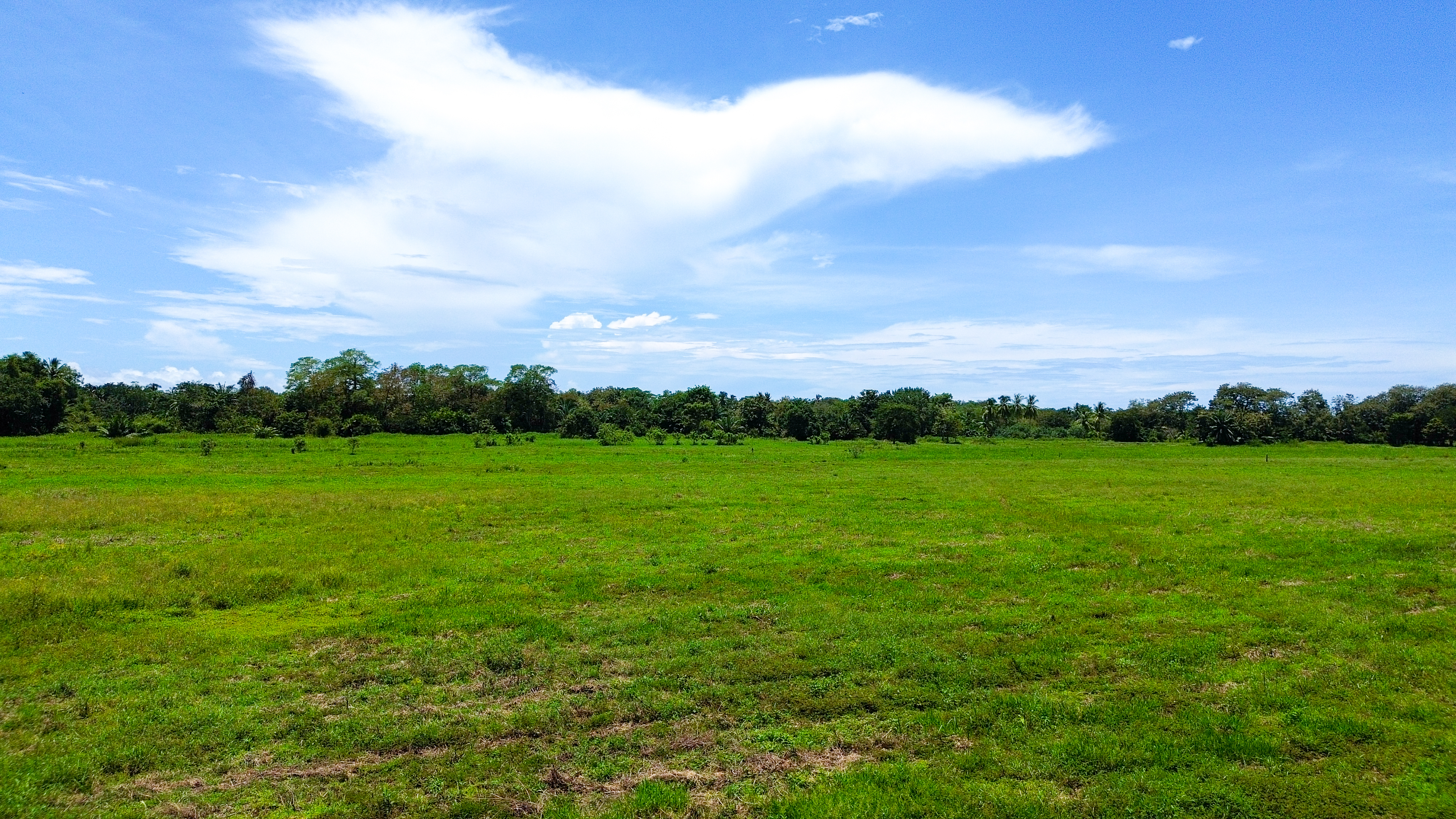 0 bed Land For Sale in Quepos, Puntarenas - thumb 12