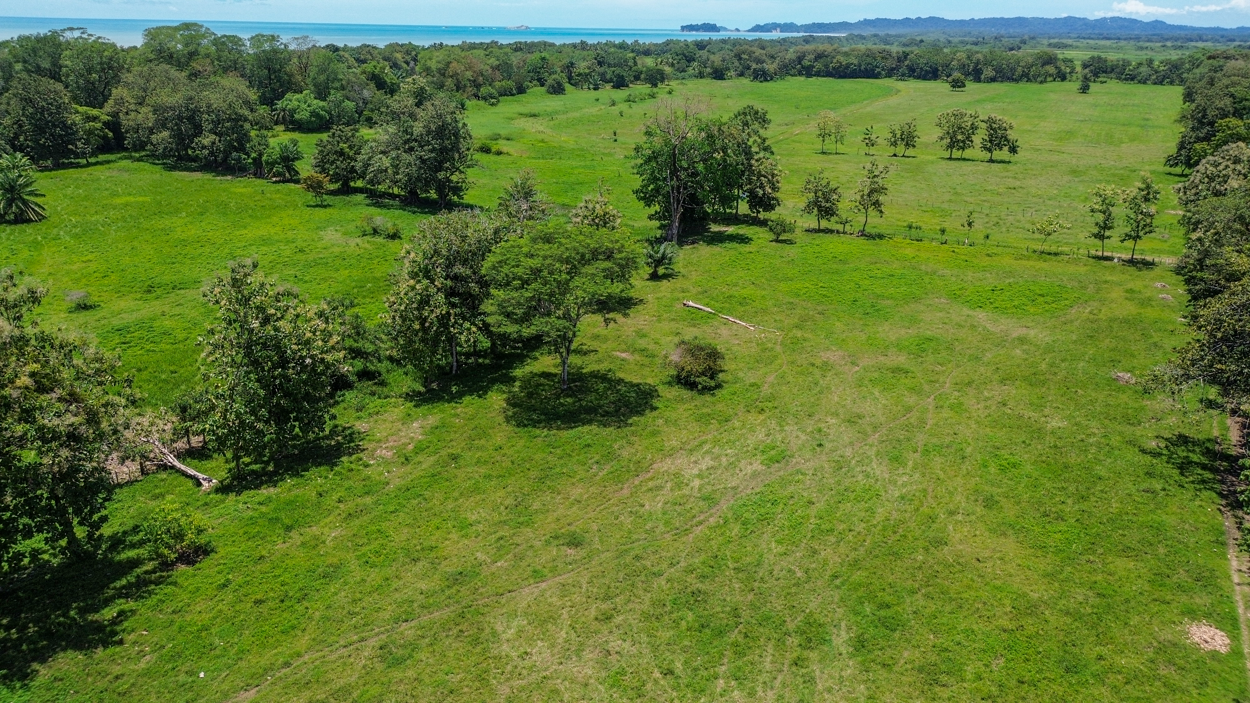 0 bed Land For Sale in Quepos, Puntarenas - thumb 6