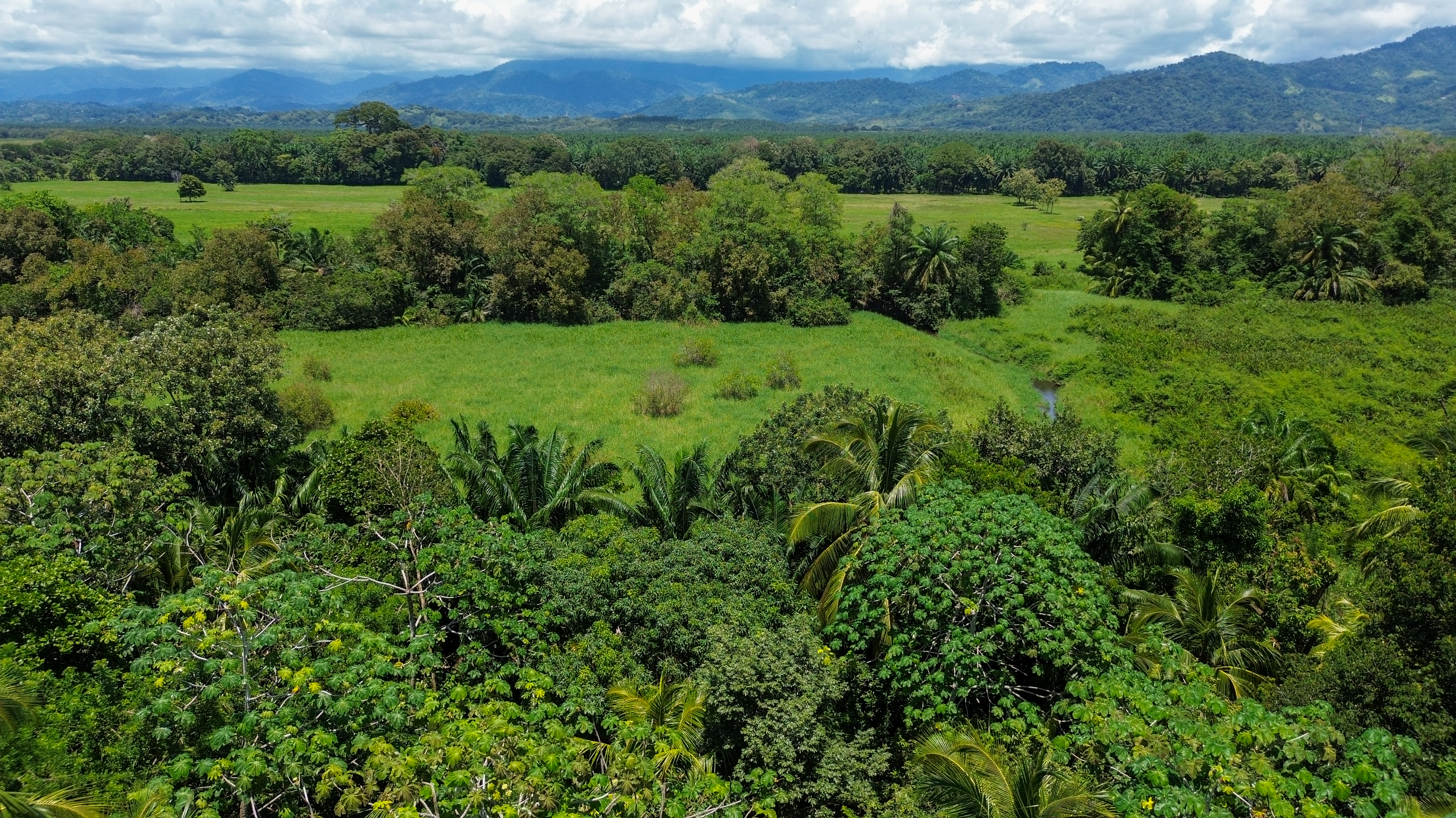 0 bed Land For Sale in Quepos, Puntarenas - thumb 9