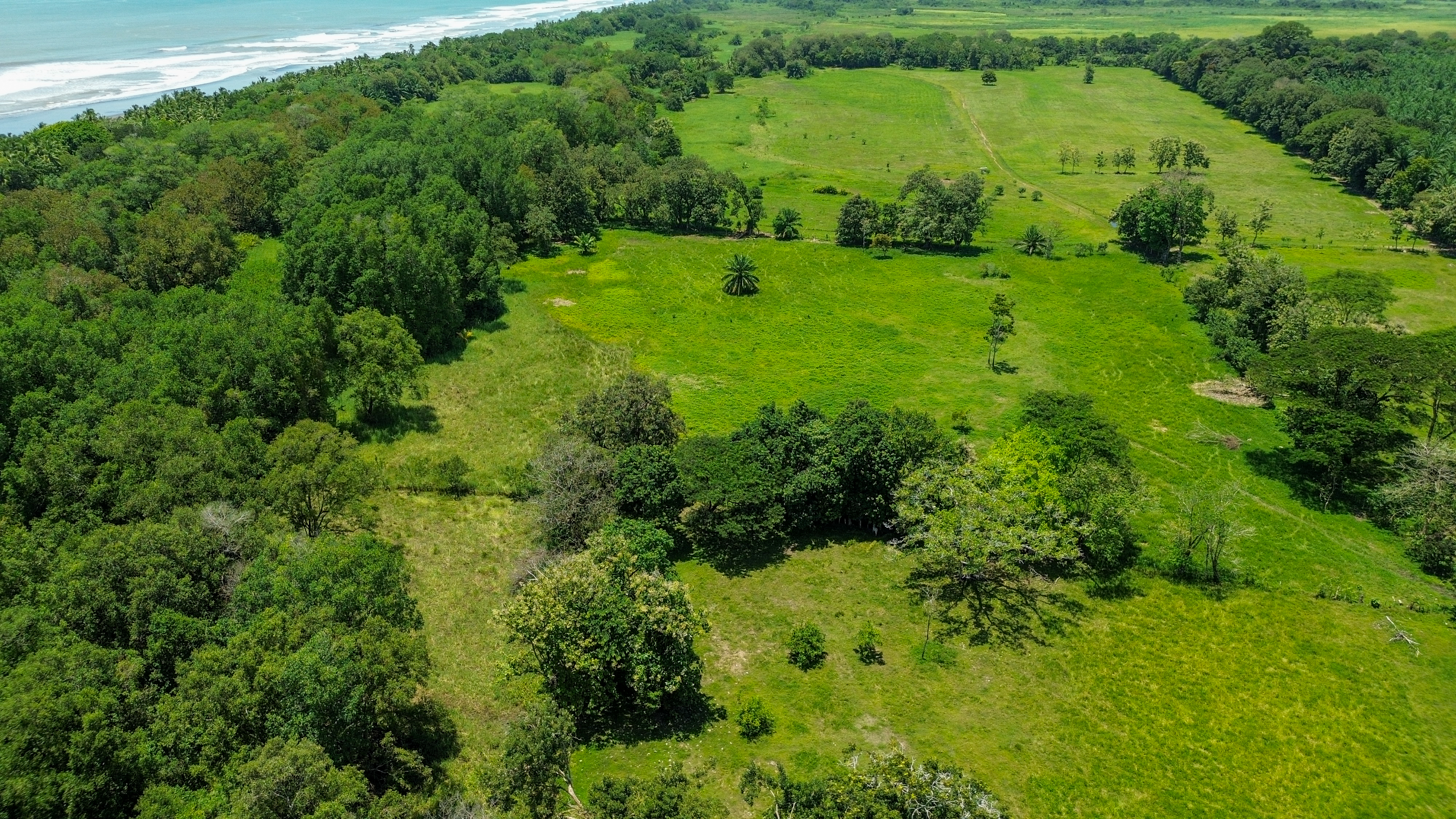 0 bed Land For Sale in Quepos, Puntarenas - thumb 2