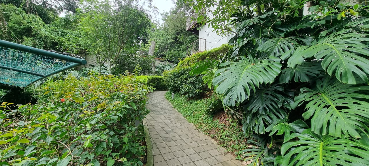 2 bed Condo For Sale in Santa Ana, San Jose - thumb 22