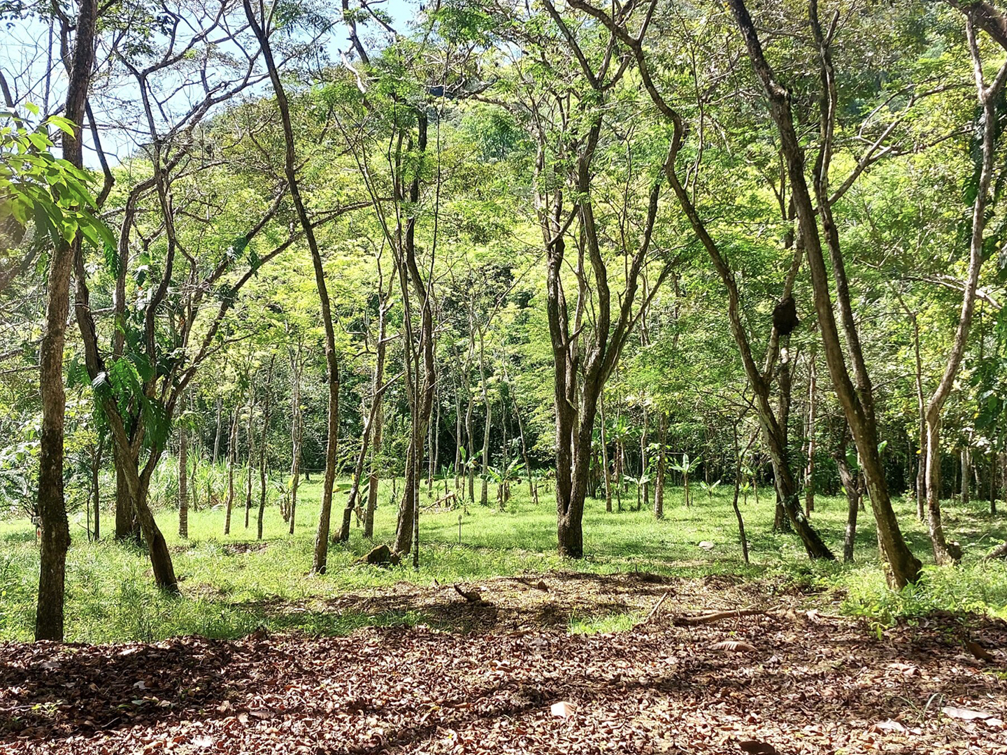 0 bed Hotel / Leisure For Sale in Jaco, Puntarenas - thumb 24