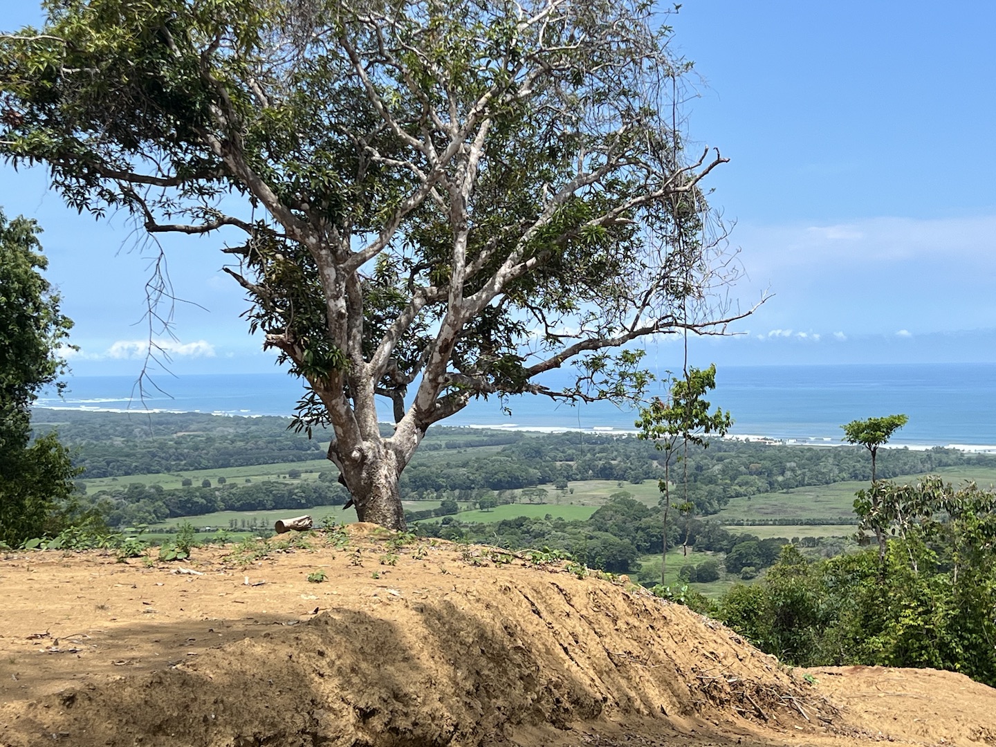 0 bed Hotel / Leisure For Sale in Jaco, Puntarenas - thumb 2