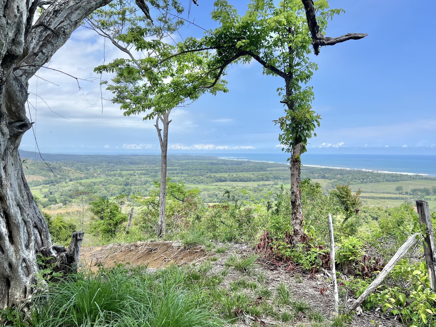 0 bed Hotel / Leisure For Sale in Jaco, Puntarenas - thumb 14