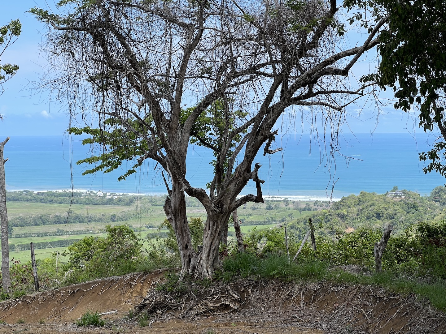 0 bed Hotel / Leisure For Sale in Jaco, Puntarenas - thumb 6