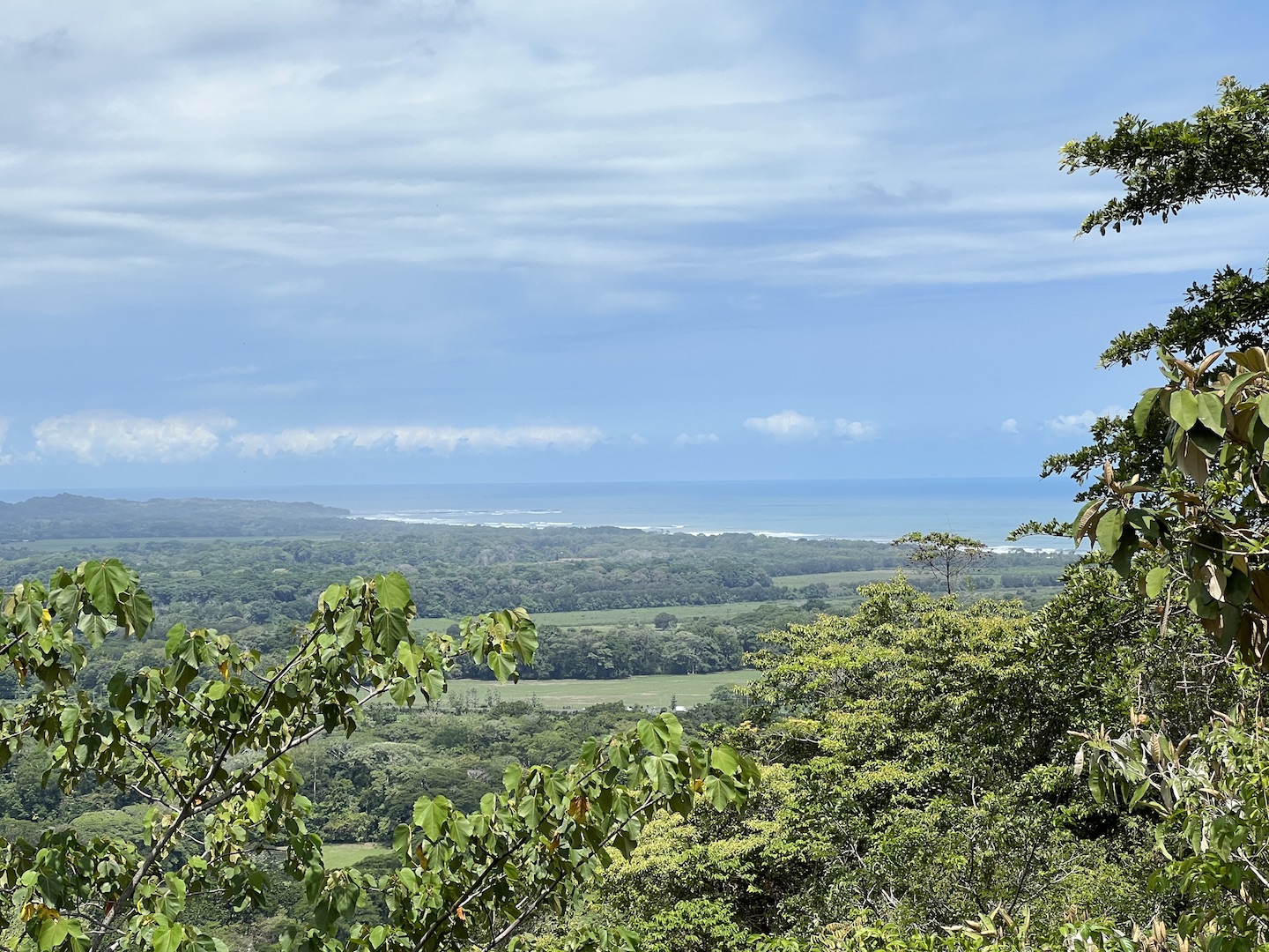 0 bed Hotel / Leisure For Sale in Jaco, Puntarenas - thumb 19