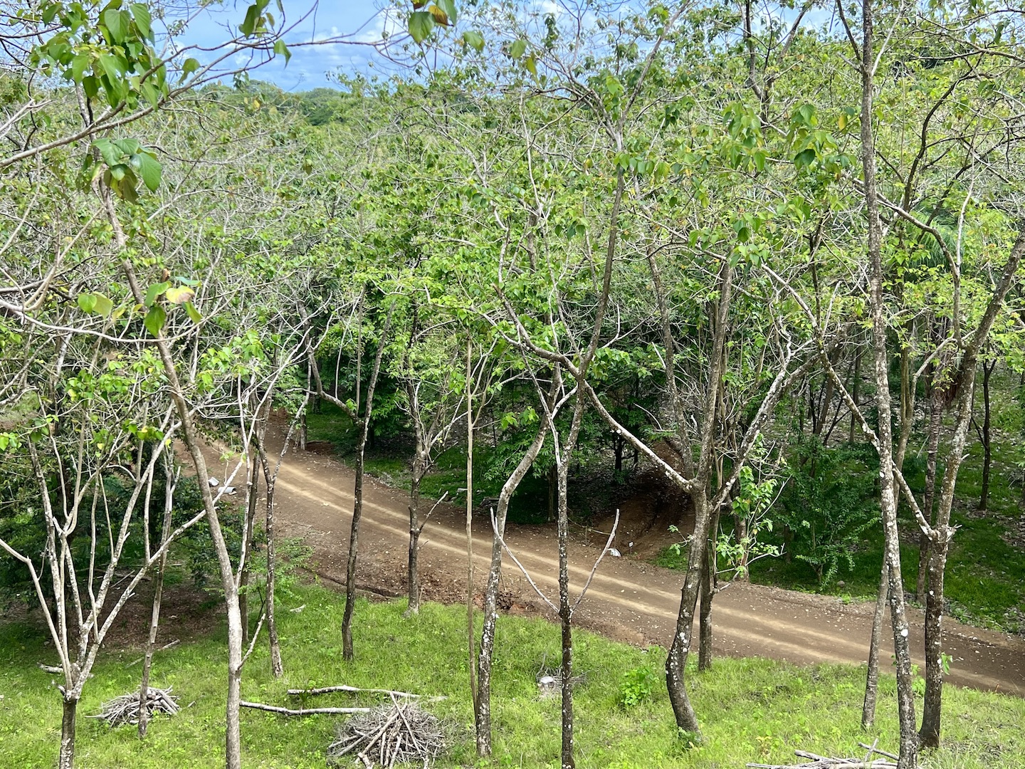 0 bed Hotel / Leisure For Sale in Jaco, Puntarenas - thumb 22