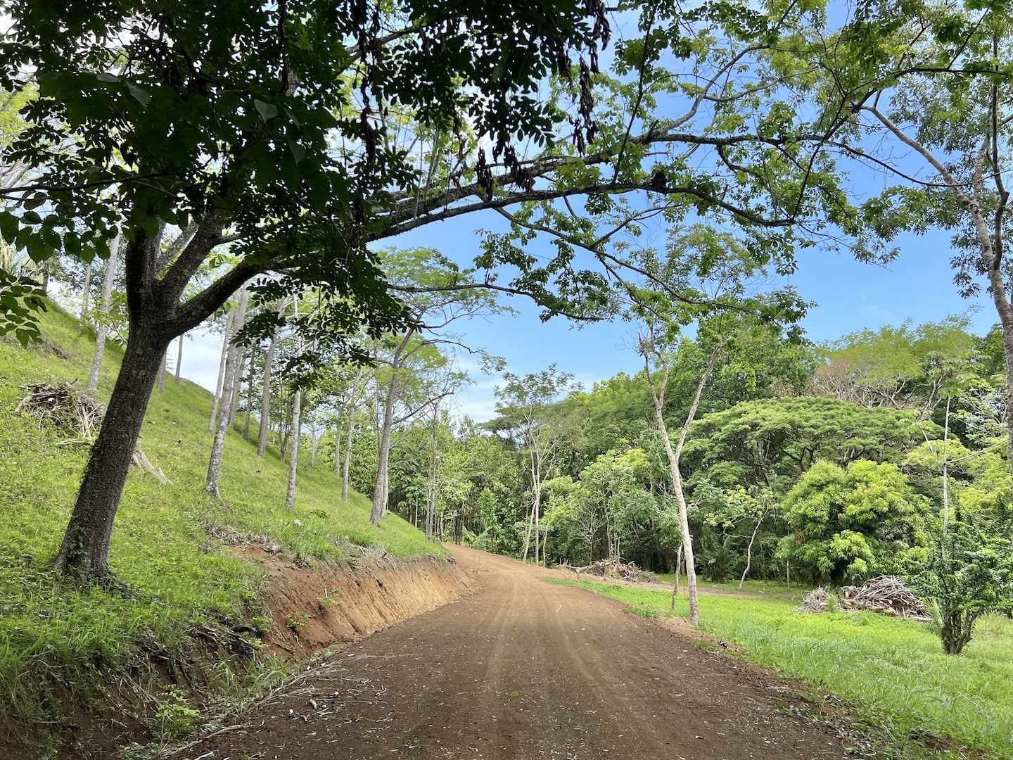 0 bed Hotel / Leisure For Sale in Jaco, Puntarenas - thumb 20