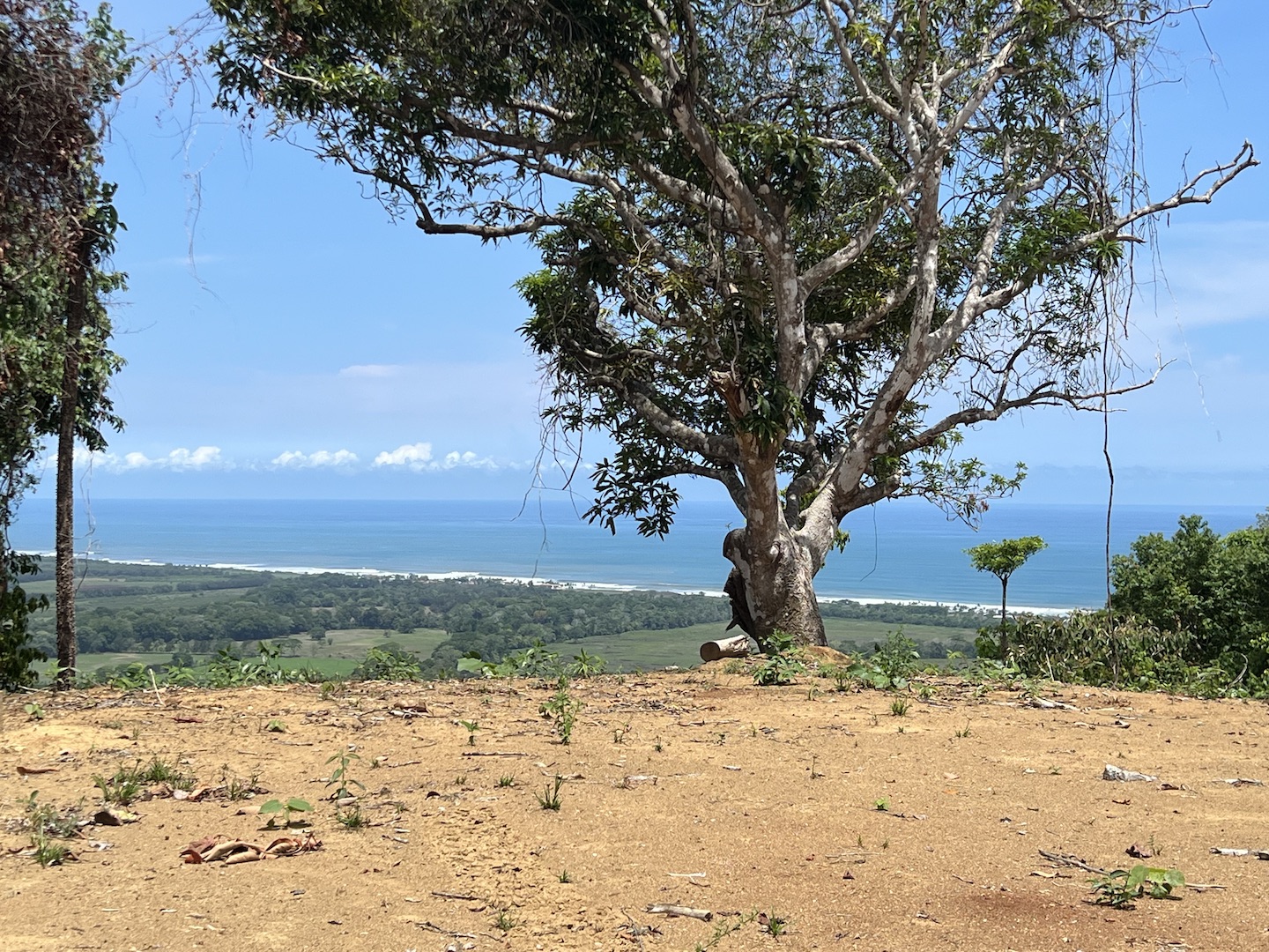 0 bed Hotel / Leisure For Sale in Jaco, Puntarenas - thumb 11